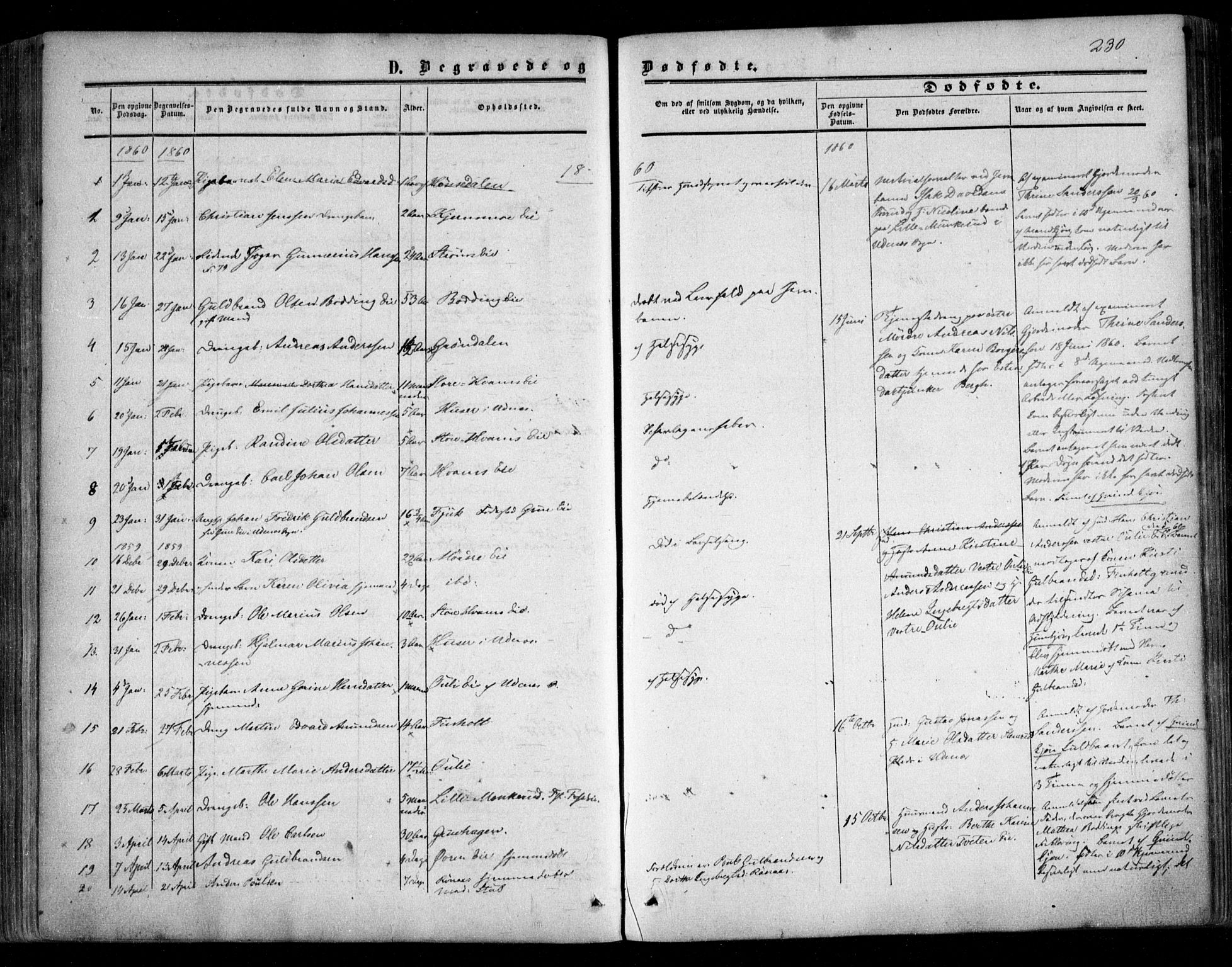 Nes prestekontor Kirkebøker, SAO/A-10410/F/Fc/L0001: Parish register (official) no. III 1, 1859-1882, p. 230