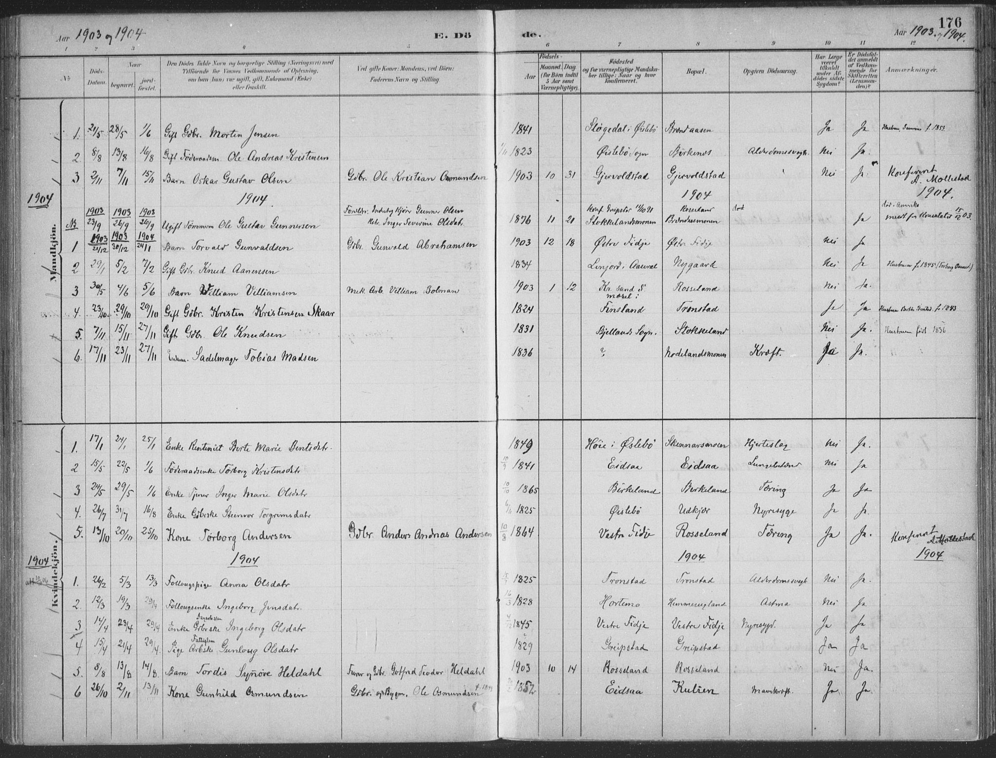Søgne sokneprestkontor, SAK/1111-0037/F/Fa/Faa/L0003: Parish register (official) no. A 3, 1883-1910, p. 176