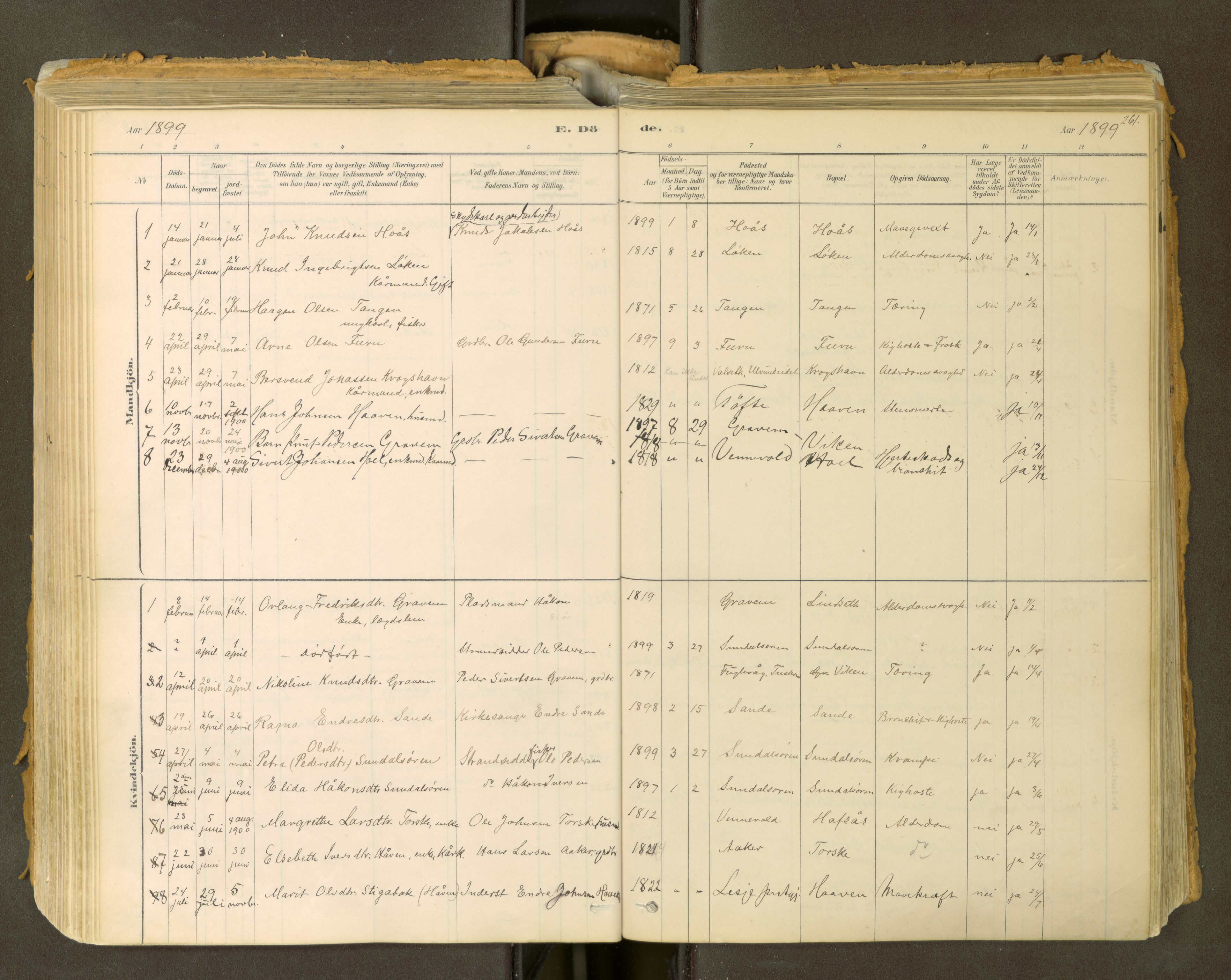 Sunndal sokneprestkontor, SAT/A-1085/1/I/I1/I1a: Parish register (official) no. 2, 1877-1914, p. 261