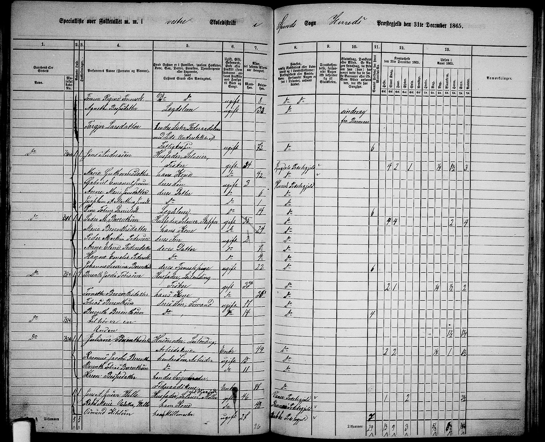 RA, 1865 census for Herad, 1865, p. 49