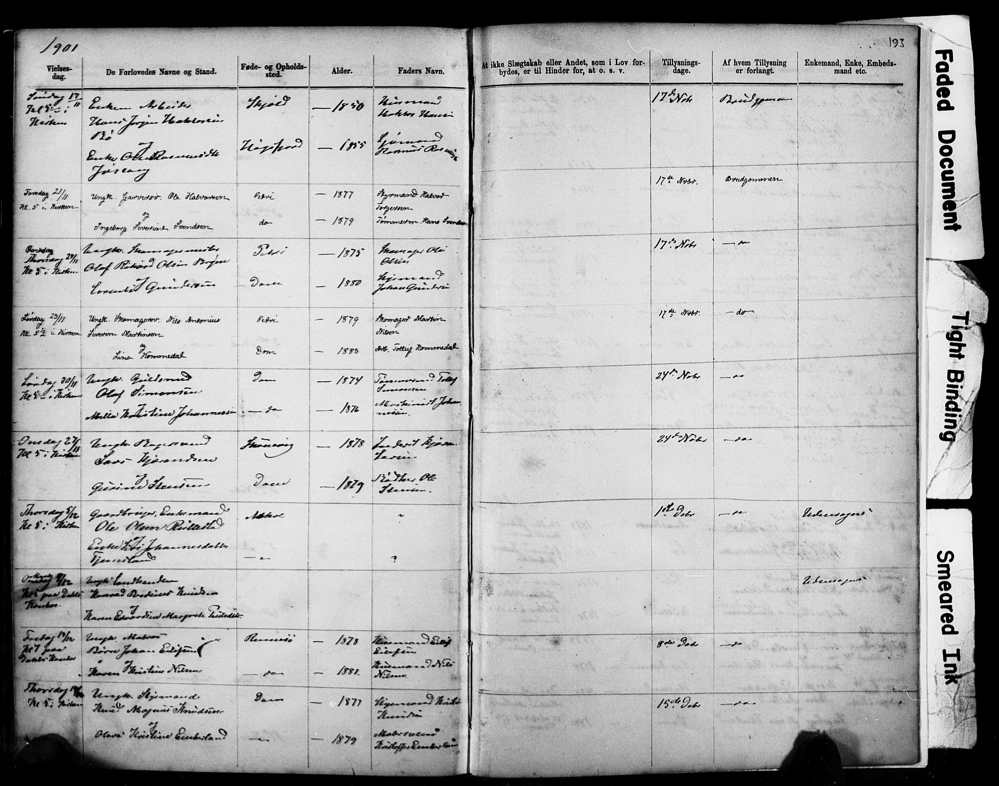 Domkirken sokneprestkontor, SAST/A-101812/001/30/30BB/L0014: Parish register (copy) no. B 14, 1875-1902, p. 193
