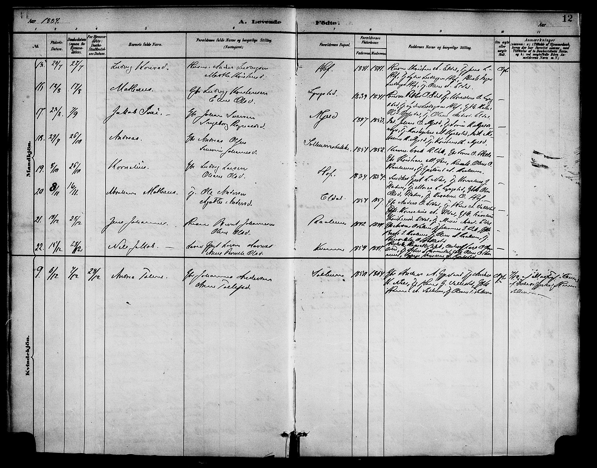 Gaular sokneprestembete, AV/SAB-A-80001/H/Haa: Parish register (official) no. D 1, 1882-1899, p. 12