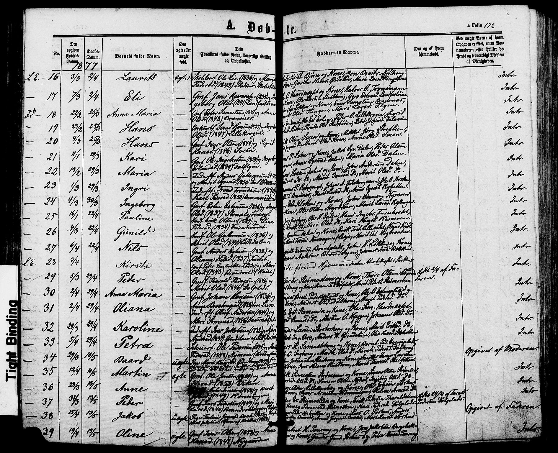 Alvdal prestekontor, AV/SAH-PREST-060/H/Ha/Haa/L0001: Parish register (official) no. 1, 1863-1882, p. 172