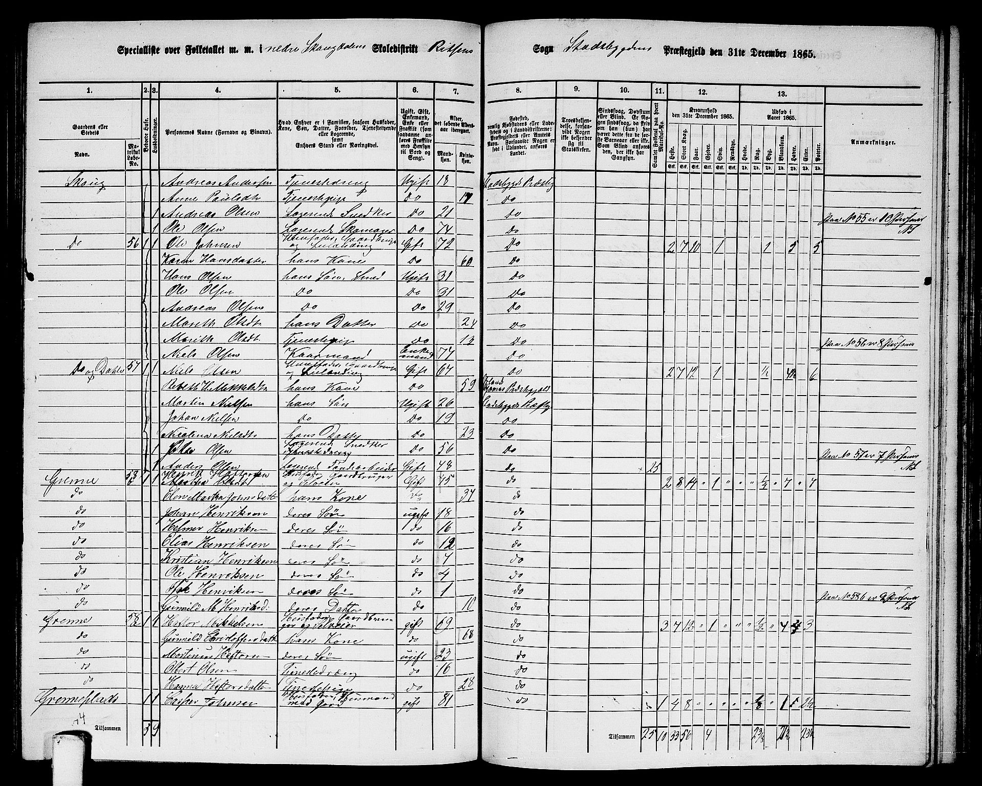 RA, 1865 census for Stadsbygd, 1865, p. 146