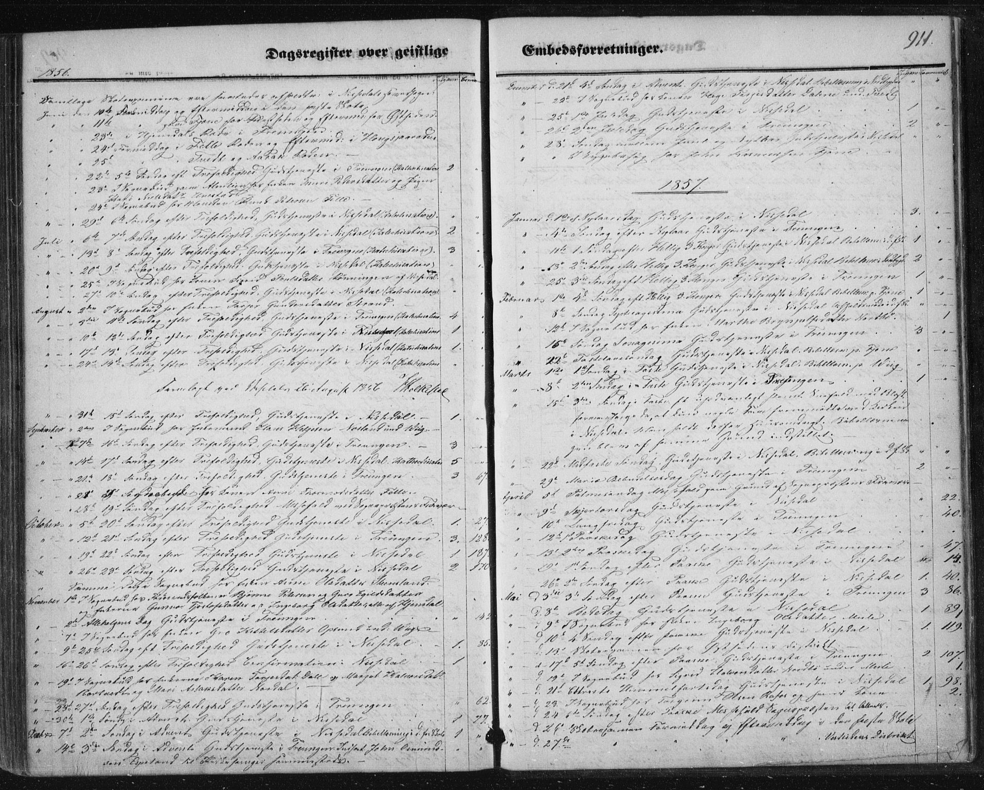 Nissedal kirkebøker, SAKO/A-288/F/Fa/L0003: Parish register (official) no. I 3, 1846-1870, p. 910-911