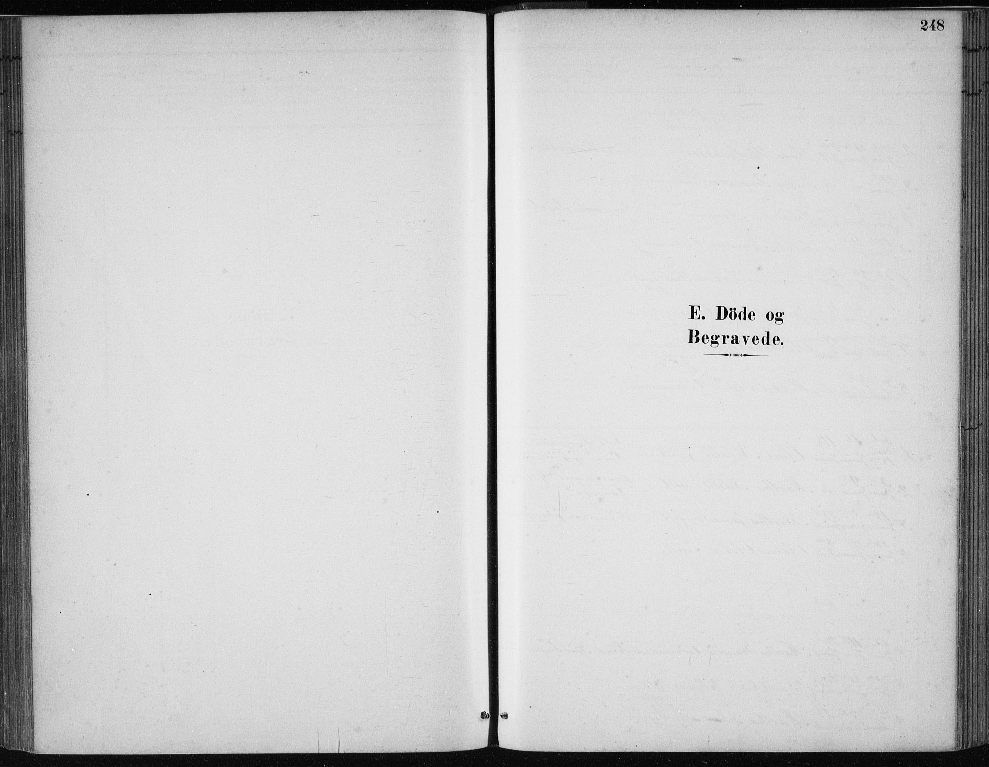 Kvam sokneprestembete, SAB/A-76201/H/Haa: Parish register (official) no. C  1, 1880-1906, p. 248