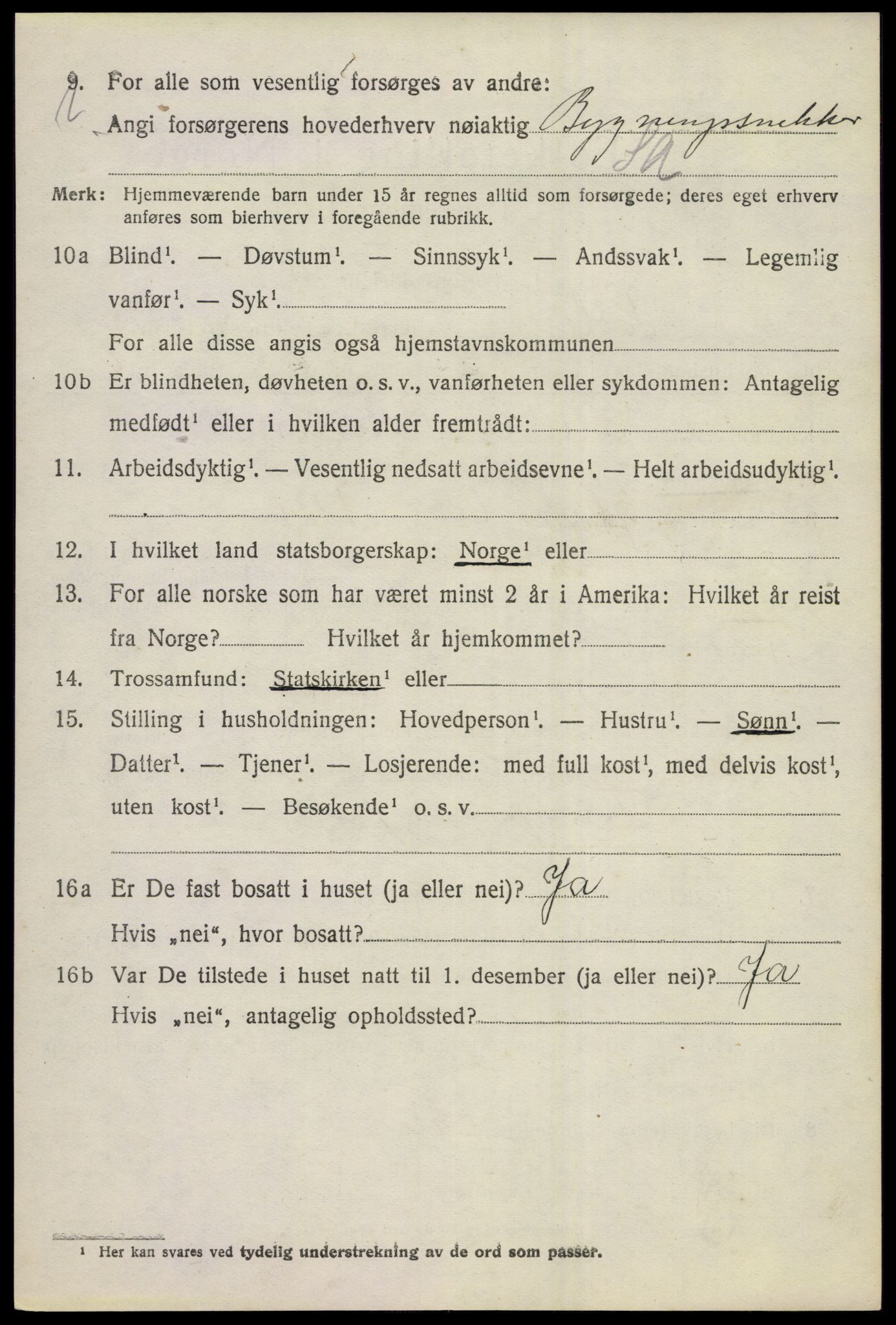 SAKO, 1920 census for Hol (Buskerud), 1920, p. 4918