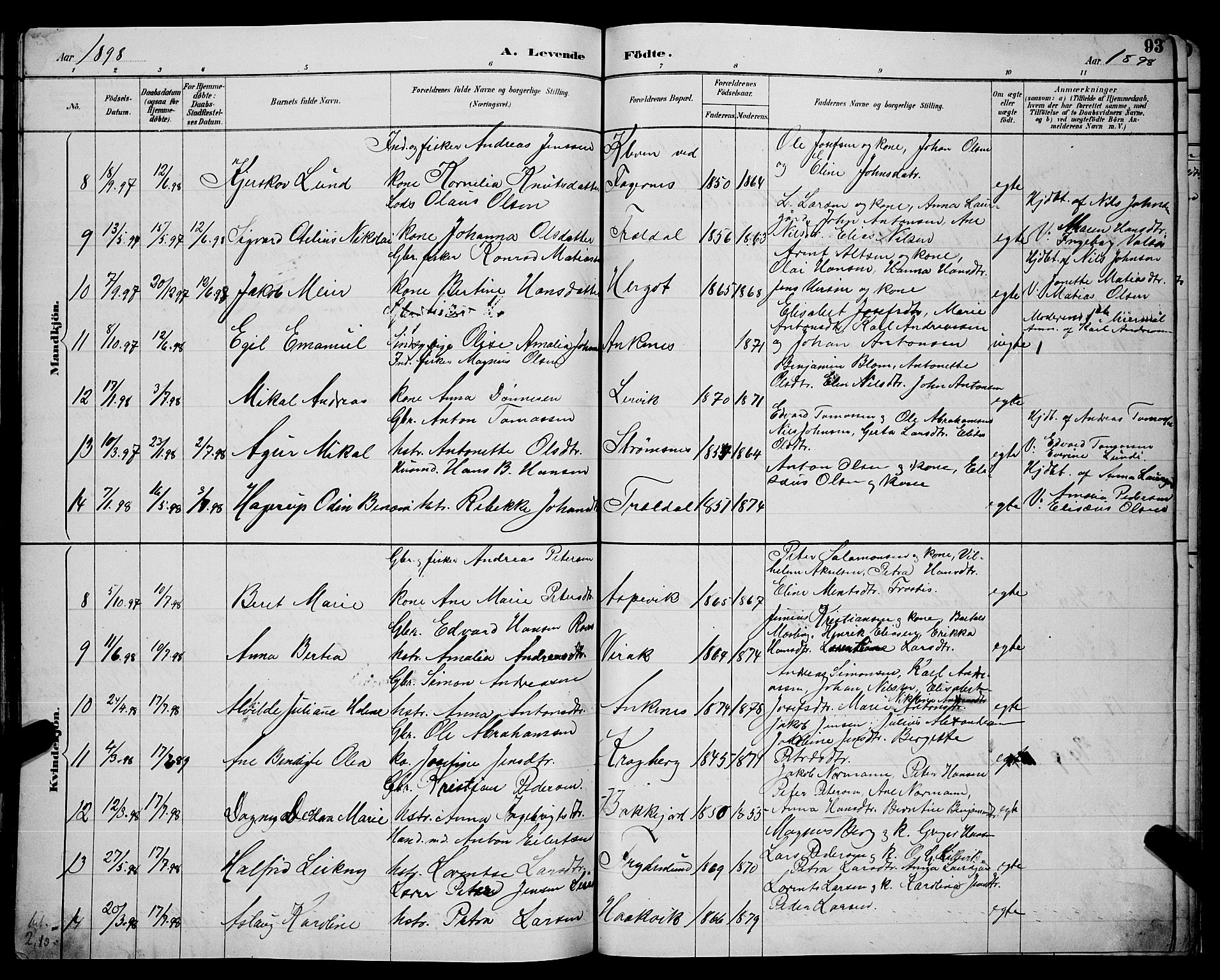 Ministerialprotokoller, klokkerbøker og fødselsregistre - Nordland, AV/SAT-A-1459/866/L0952: Parish register (copy) no. 866C01, 1886-1899, p. 93