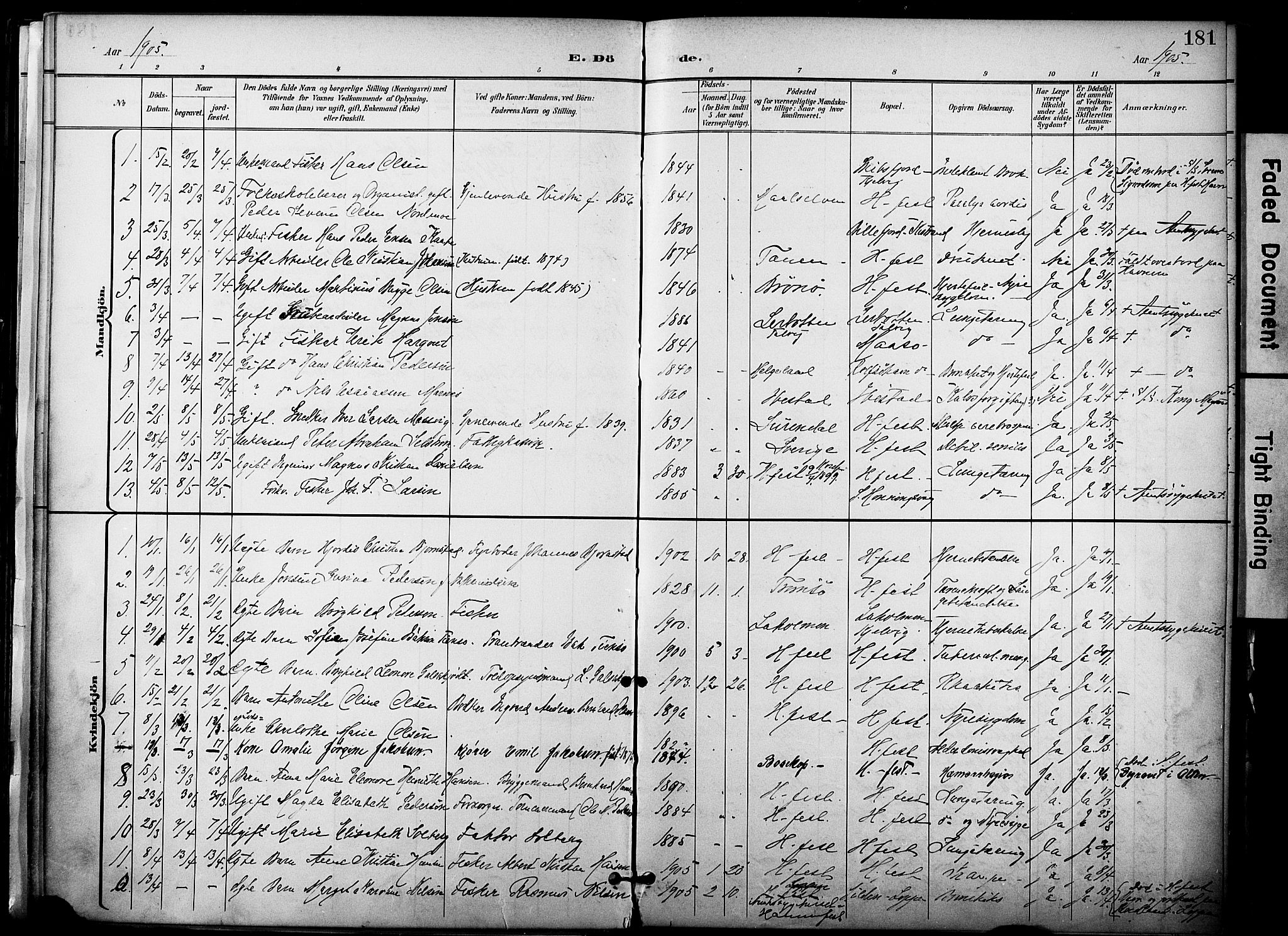 Hammerfest sokneprestkontor, SATØ/S-1347/H/Ha/L0010.kirke: Parish register (official) no. 10, 1898-1905, p. 181