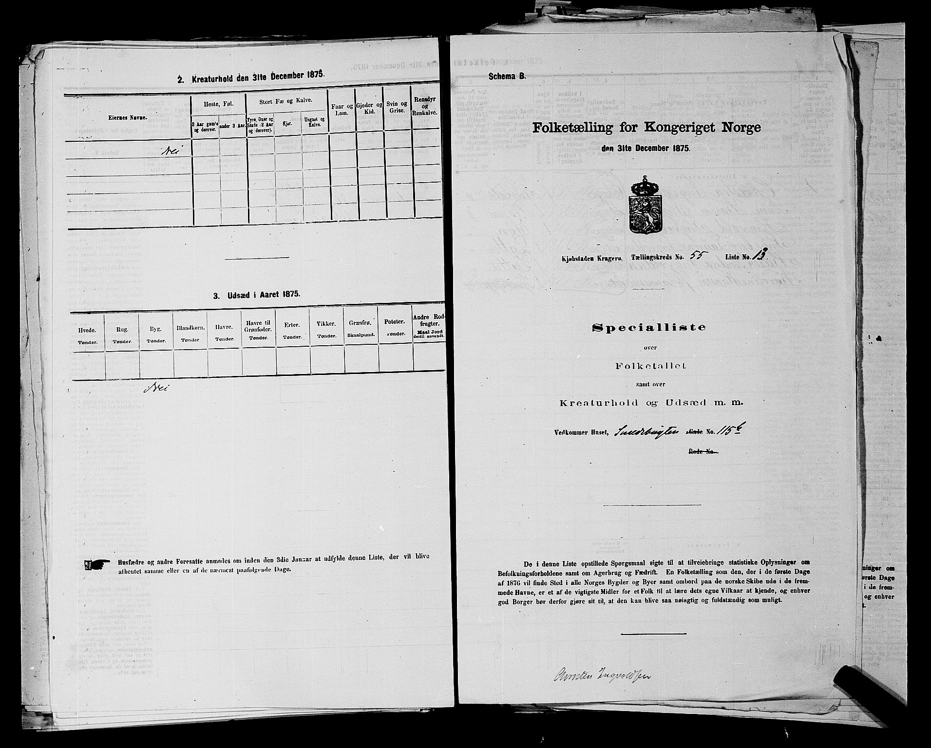 SAKO, 1875 census for 0801P Kragerø, 1875, p. 1233