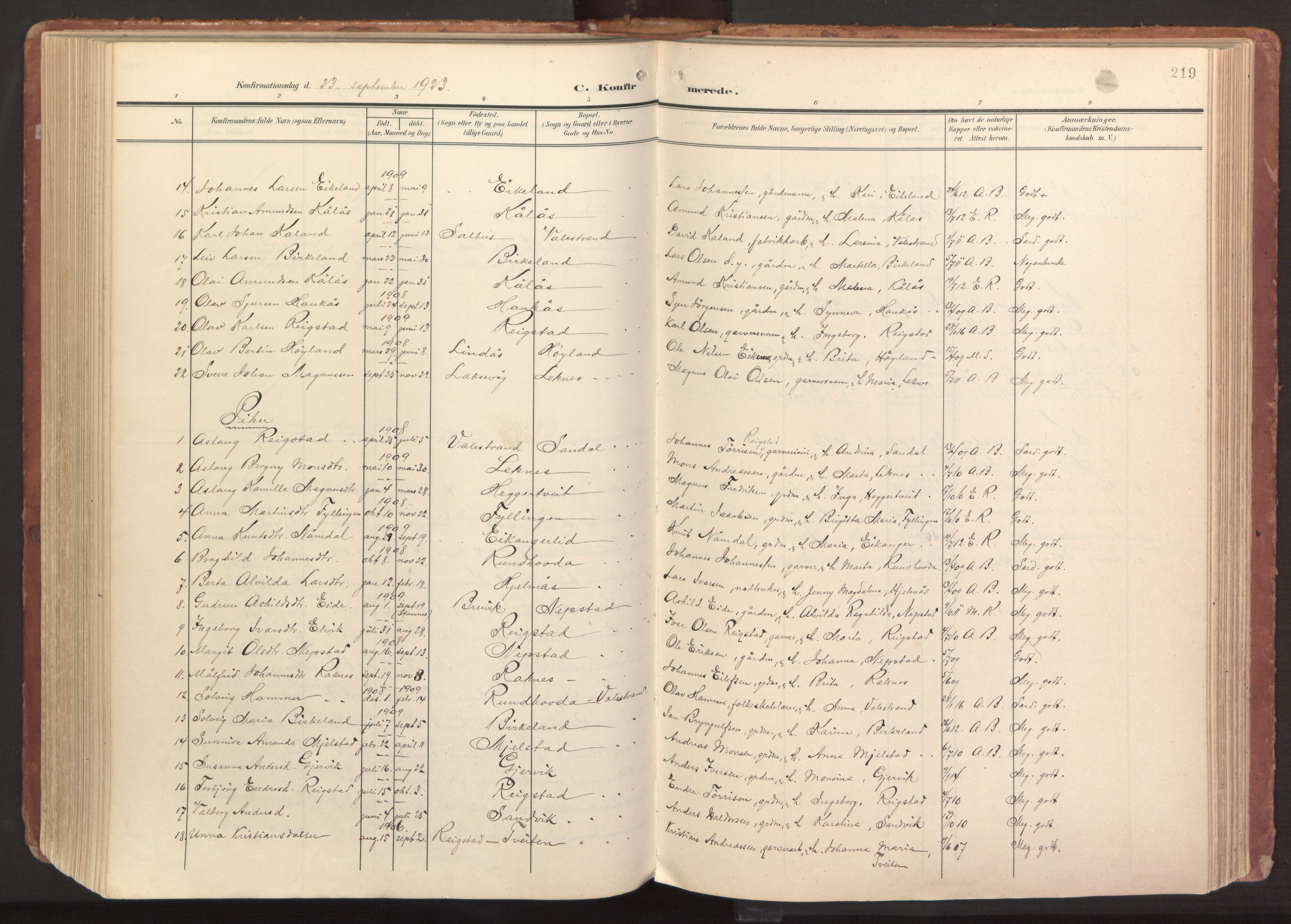 Hamre sokneprestembete, AV/SAB-A-75501/H/Ha/Haa/Haab/L0002: Parish register (official) no. B 2, 1905-1924, p. 219