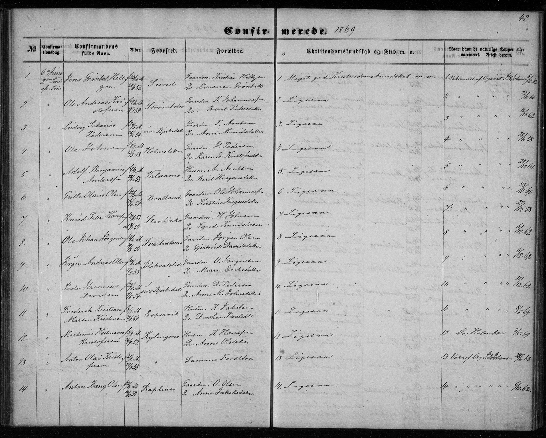 Ministerialprotokoller, klokkerbøker og fødselsregistre - Nordland, AV/SAT-A-1459/825/L0357: Parish register (official) no. 825A11, 1859-1877, p. 42