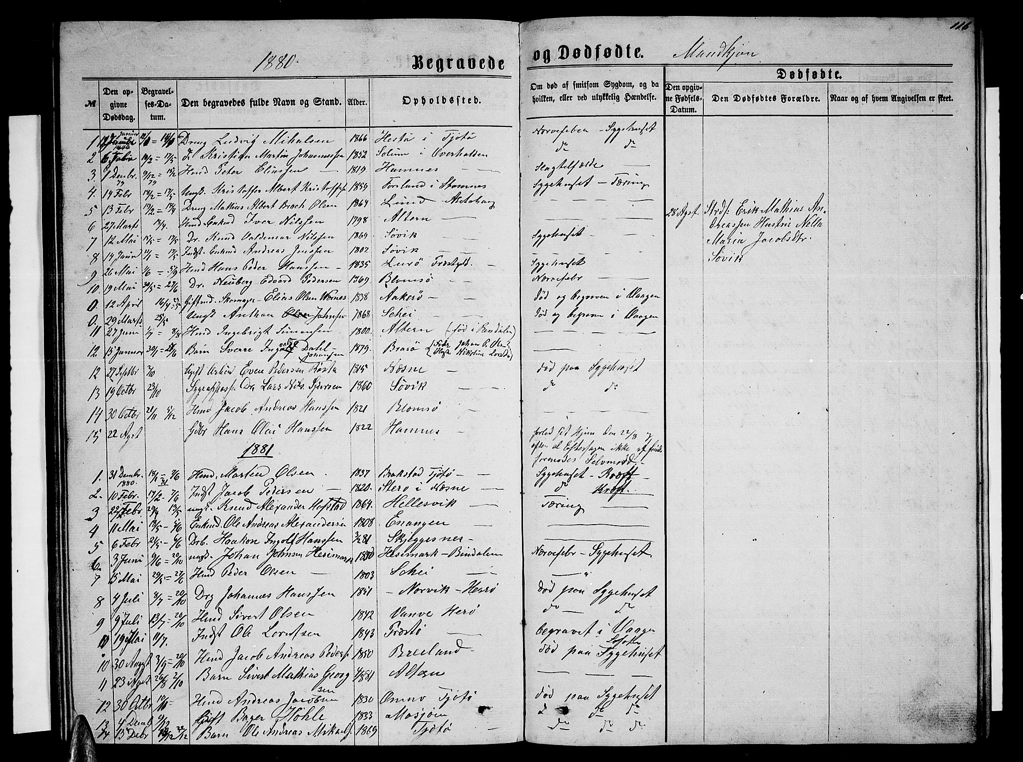 Ministerialprotokoller, klokkerbøker og fødselsregistre - Nordland, SAT/A-1459/830/L0461: Parish register (copy) no. 830C03, 1866-1881, p. 116