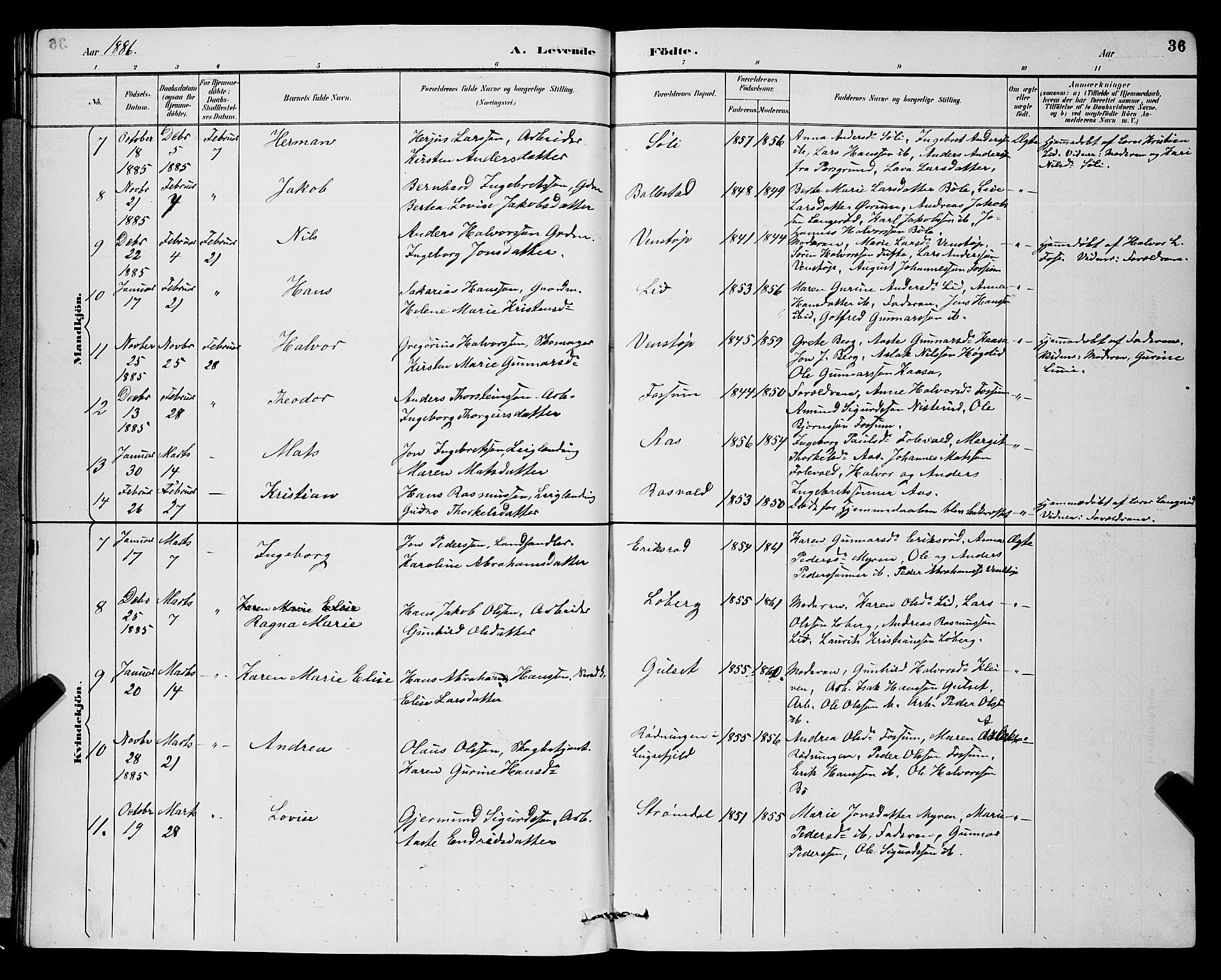 Gjerpen kirkebøker, SAKO/A-265/G/Ga/L0002: Parish register (copy) no. I 2, 1883-1900, p. 36