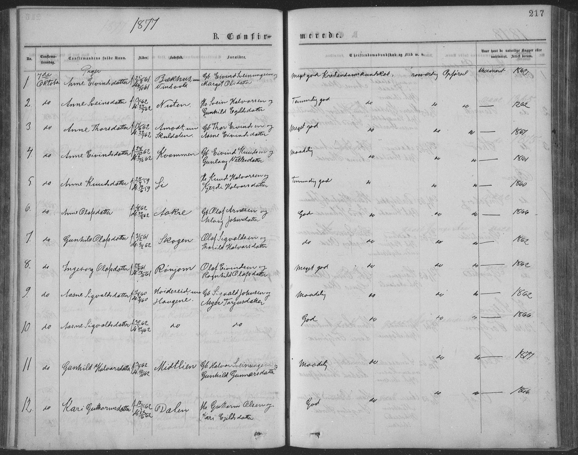 Seljord kirkebøker, SAKO/A-20/F/Fa/L0014: Parish register (official) no. I 14, 1877-1886, p. 217