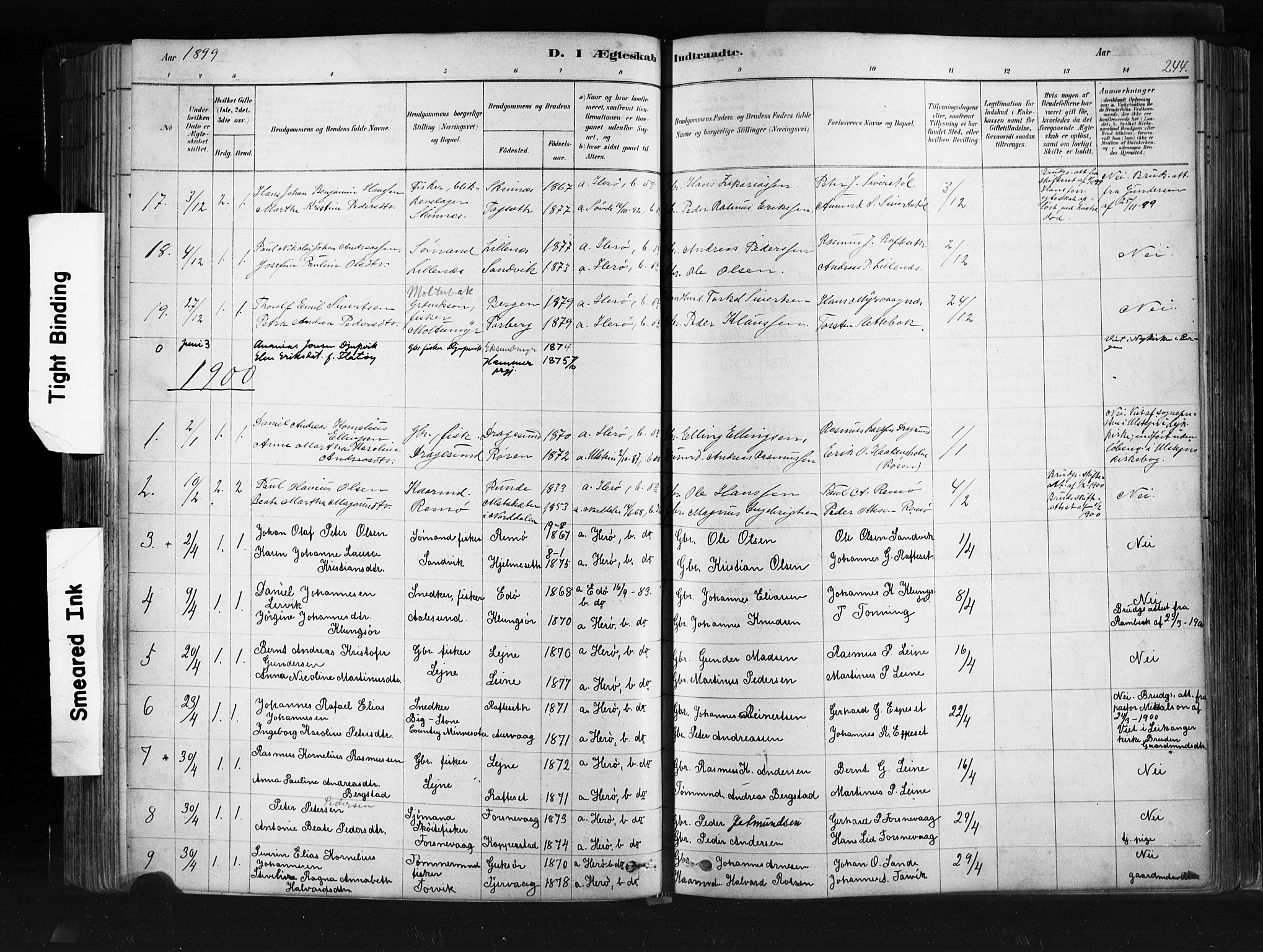 Ministerialprotokoller, klokkerbøker og fødselsregistre - Møre og Romsdal, AV/SAT-A-1454/507/L0073: Parish register (official) no. 507A08, 1878-1904, p. 244