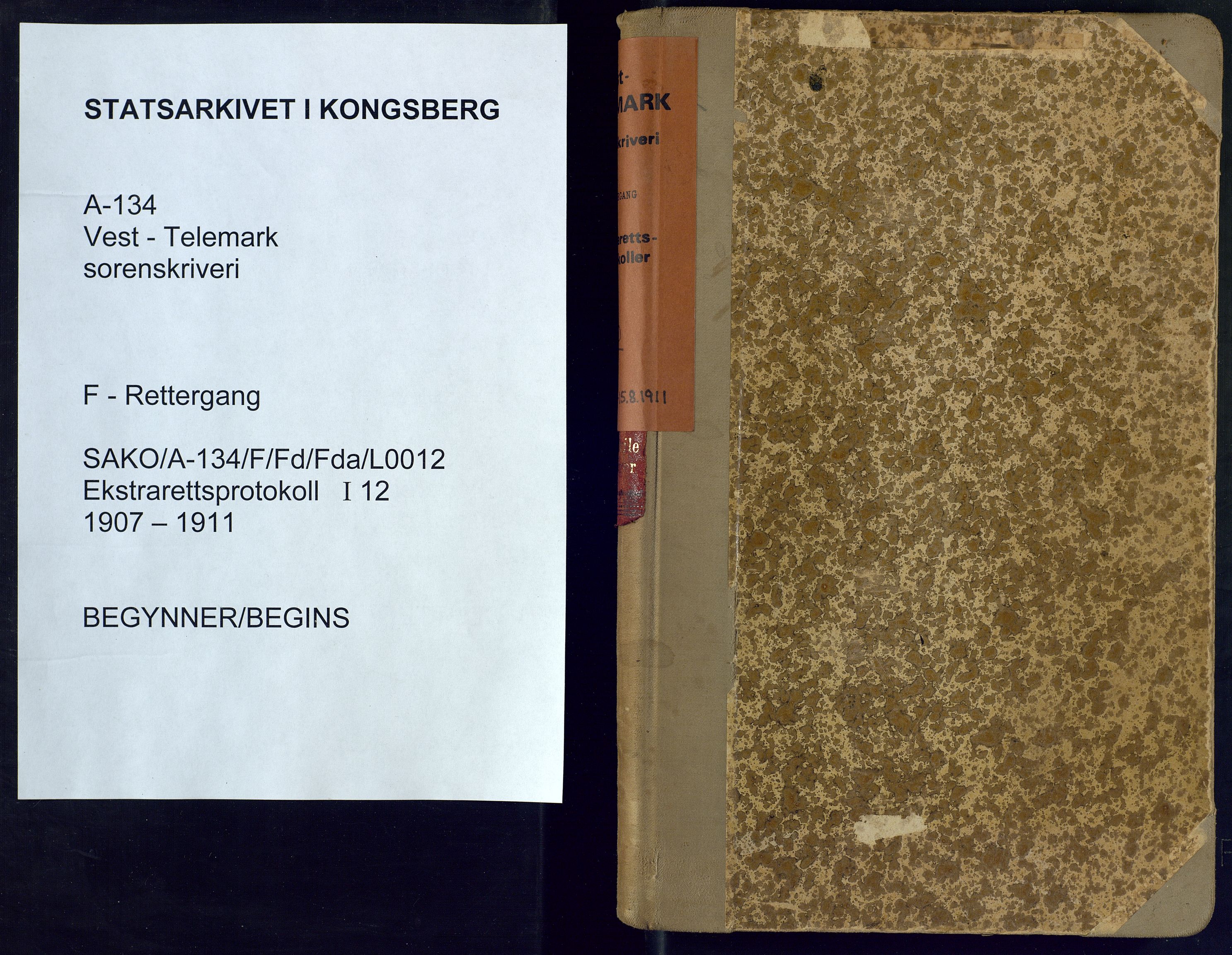 Vest-Telemark sorenskriveri, AV/SAKO-A-134/F/Fd/Fda/L0012: Ekstrarettsprotokoll, 1907-1911