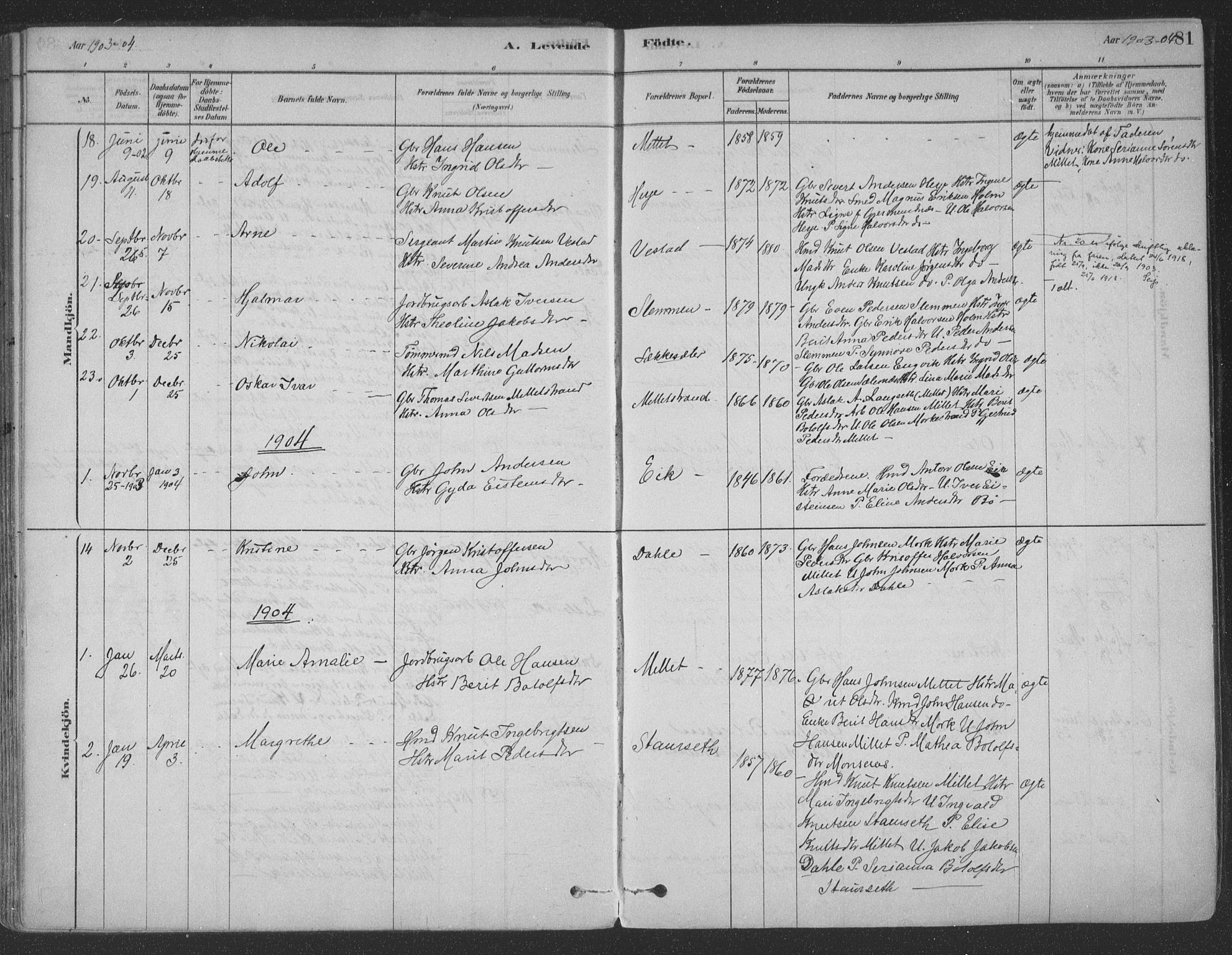 Ministerialprotokoller, klokkerbøker og fødselsregistre - Møre og Romsdal, SAT/A-1454/547/L0604: Parish register (official) no. 547A06, 1878-1906, p. 81