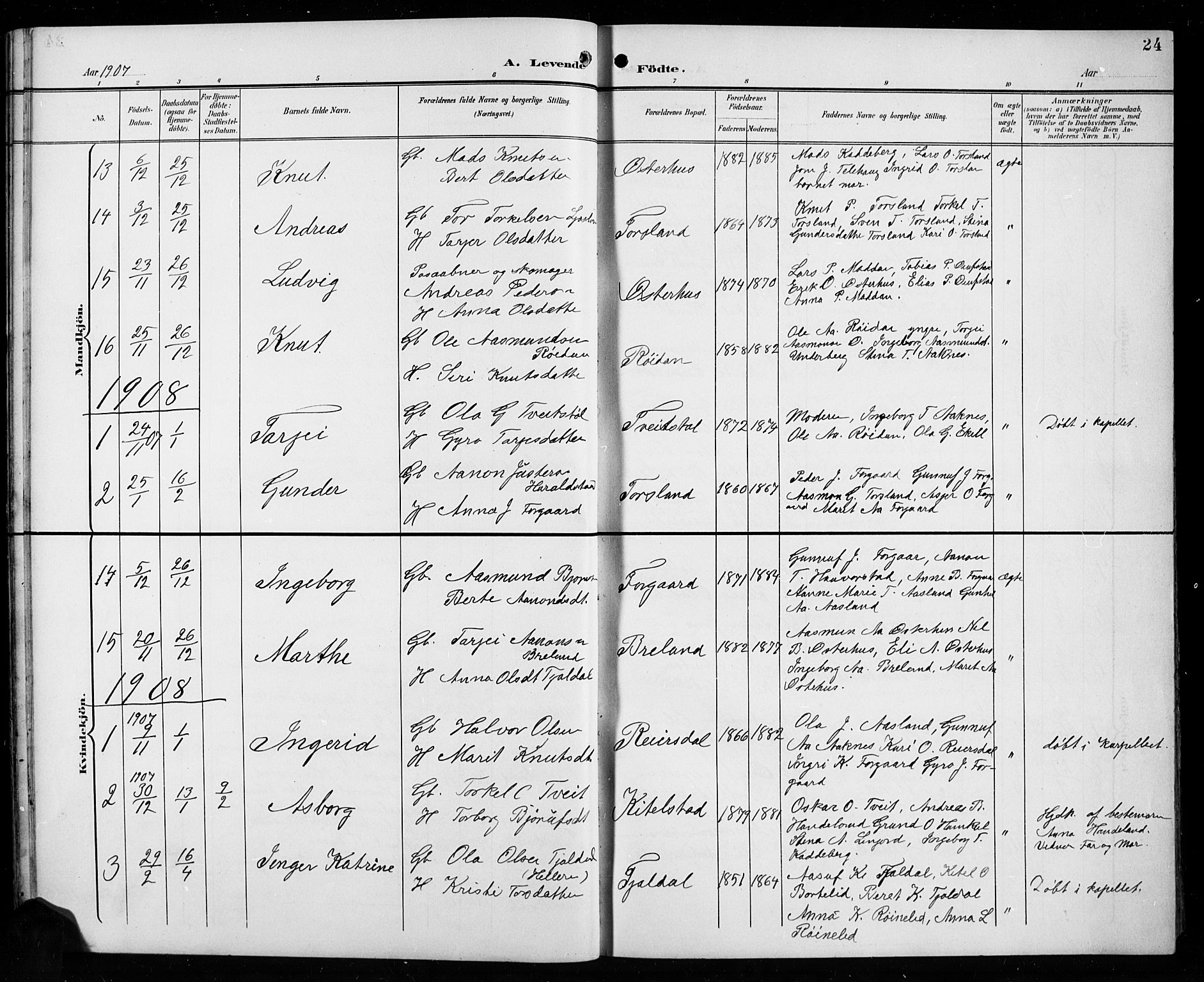 Åseral sokneprestkontor, SAK/1111-0051/F/Fb/L0003: Parish register (copy) no. B 3, 1900-1919, p. 24