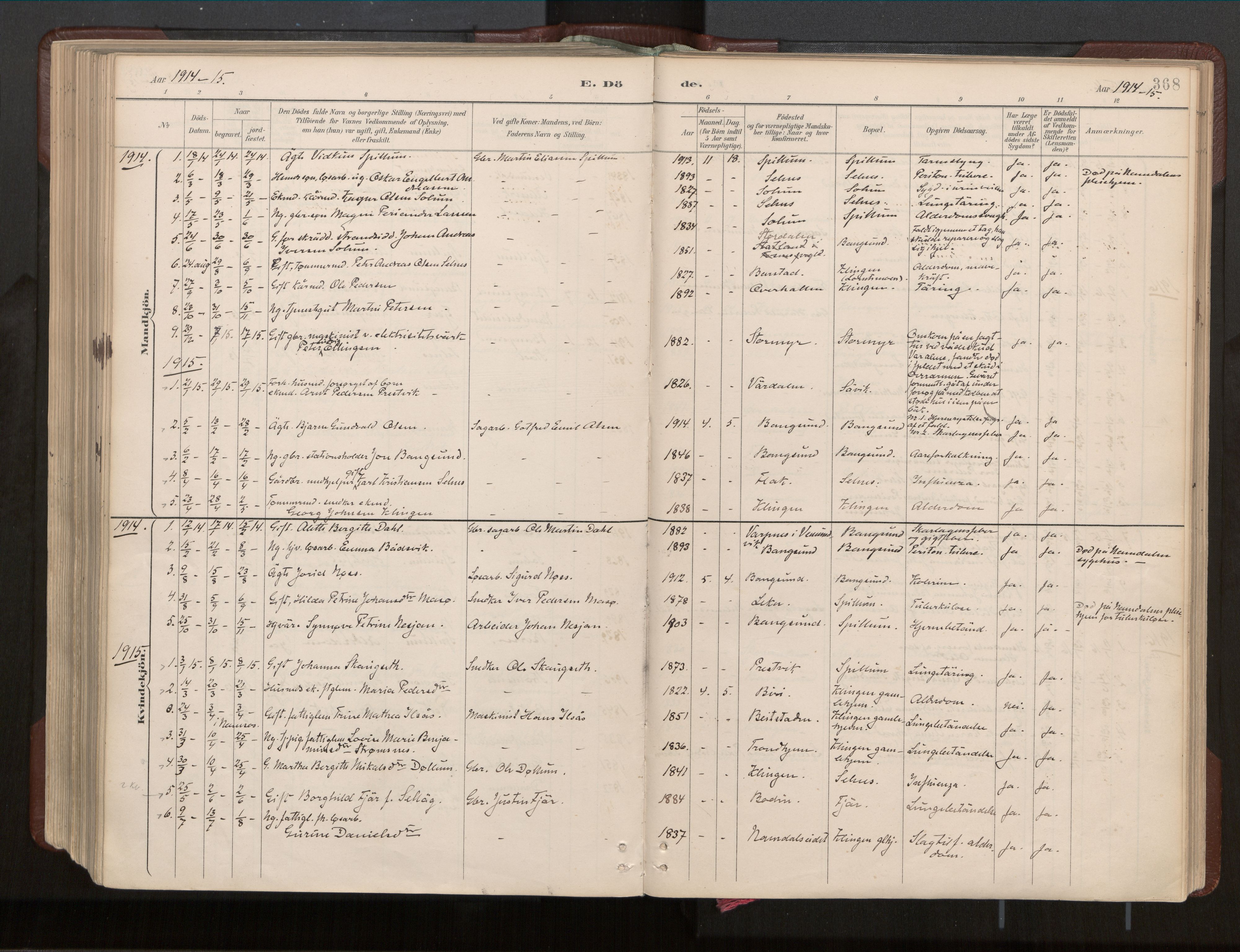 Ministerialprotokoller, klokkerbøker og fødselsregistre - Nord-Trøndelag, SAT/A-1458/770/L0589: Parish register (official) no. 770A03, 1887-1929, p. 368