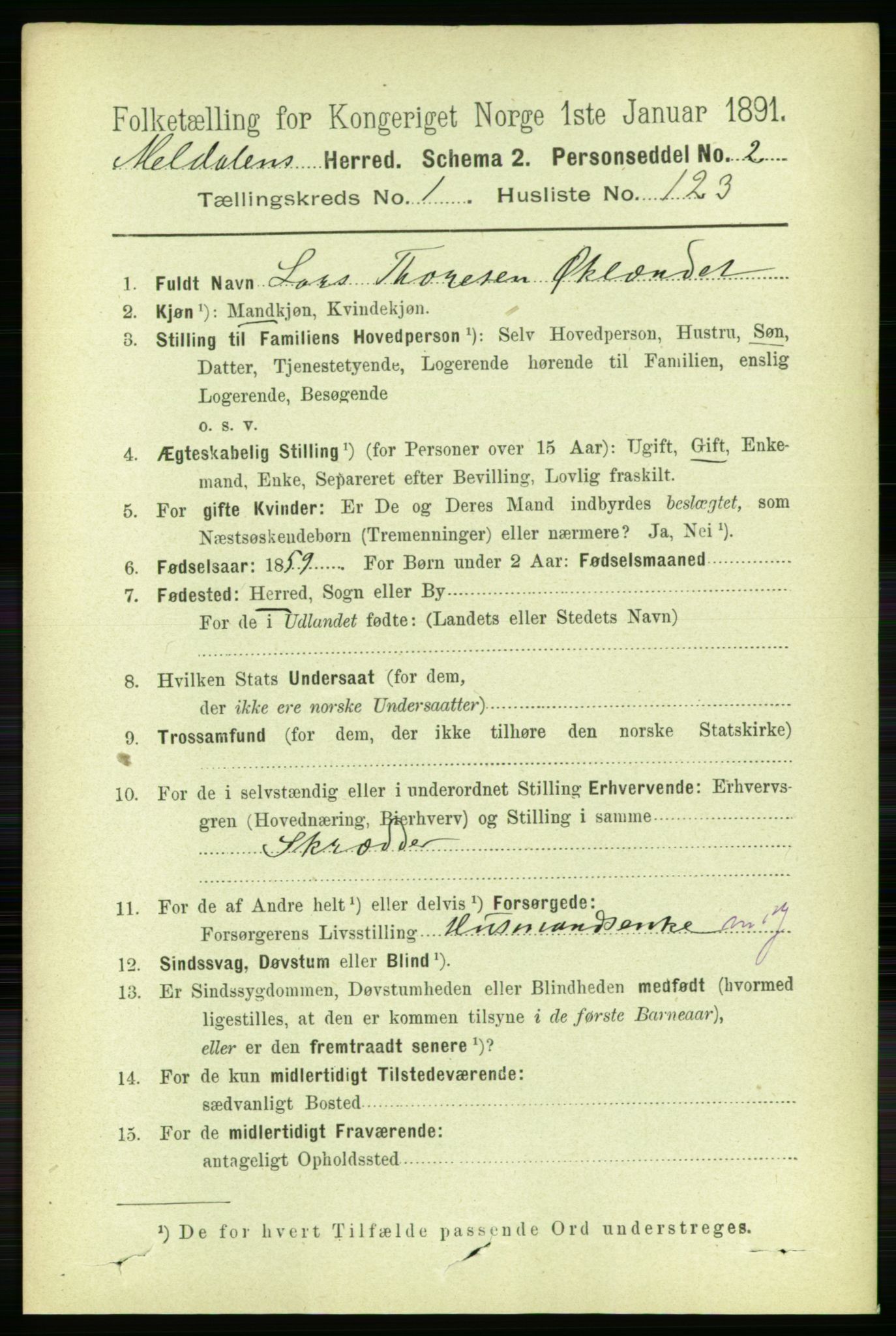 RA, 1891 census for 1636 Meldal, 1891, p. 941