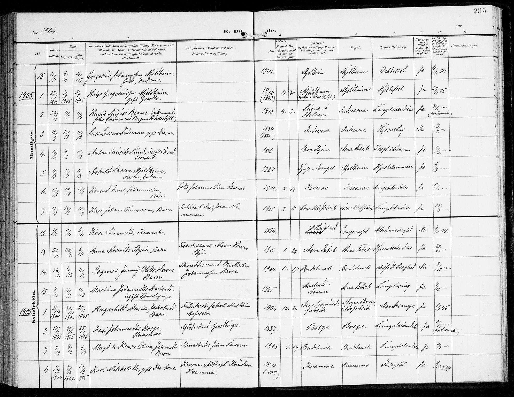 Haus sokneprestembete, AV/SAB-A-75601/H/Haa: Parish register (official) no. D 2, 1899-1912, p. 235