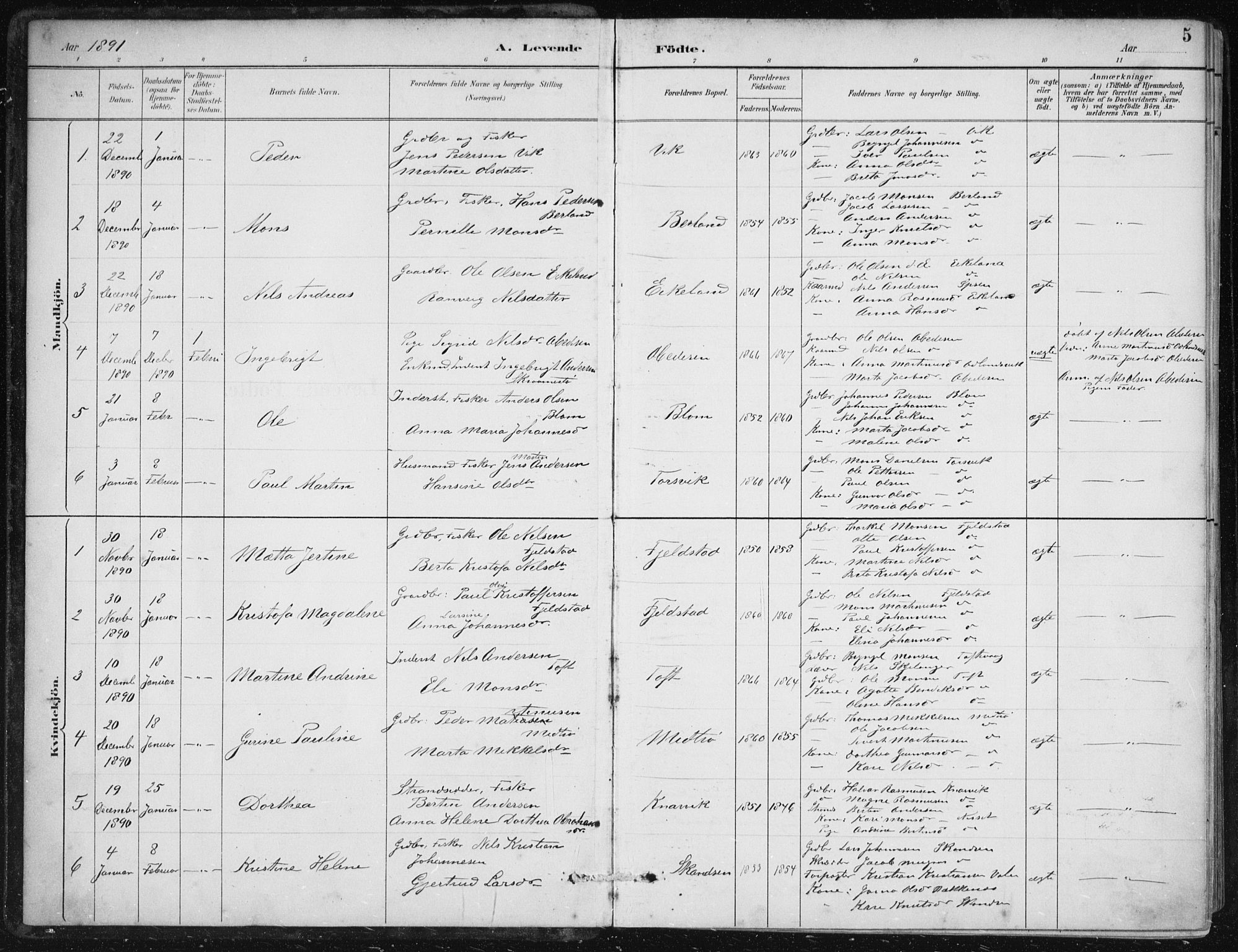 Herdla Sokneprestembete, SAB/A-75701/H/Haa: Parish register (official) no. A 4, 1891-1905, p. 5