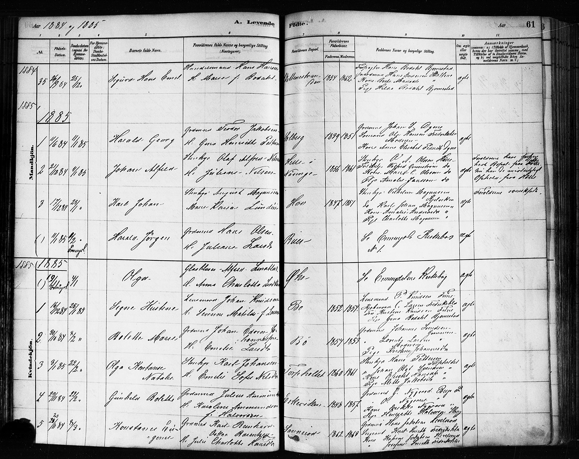 Idd prestekontor Kirkebøker, AV/SAO-A-10911/F/Fc/L0006a: Parish register (official) no. III 6A, 1878-1903, p. 61