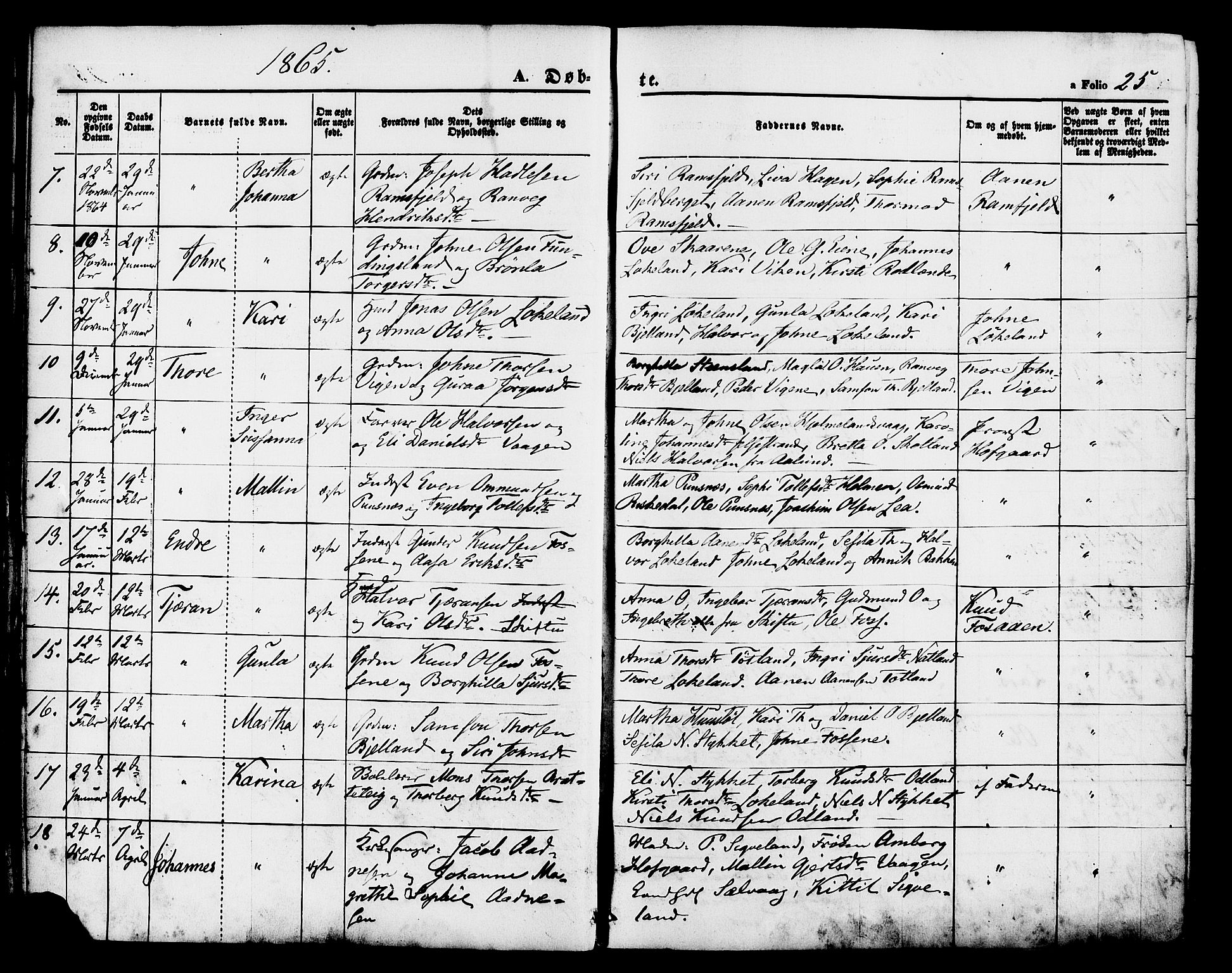 Hjelmeland sokneprestkontor, AV/SAST-A-101843/01/IV/L0011: Parish register (official) no. A 11, 1861-1878, p. 25