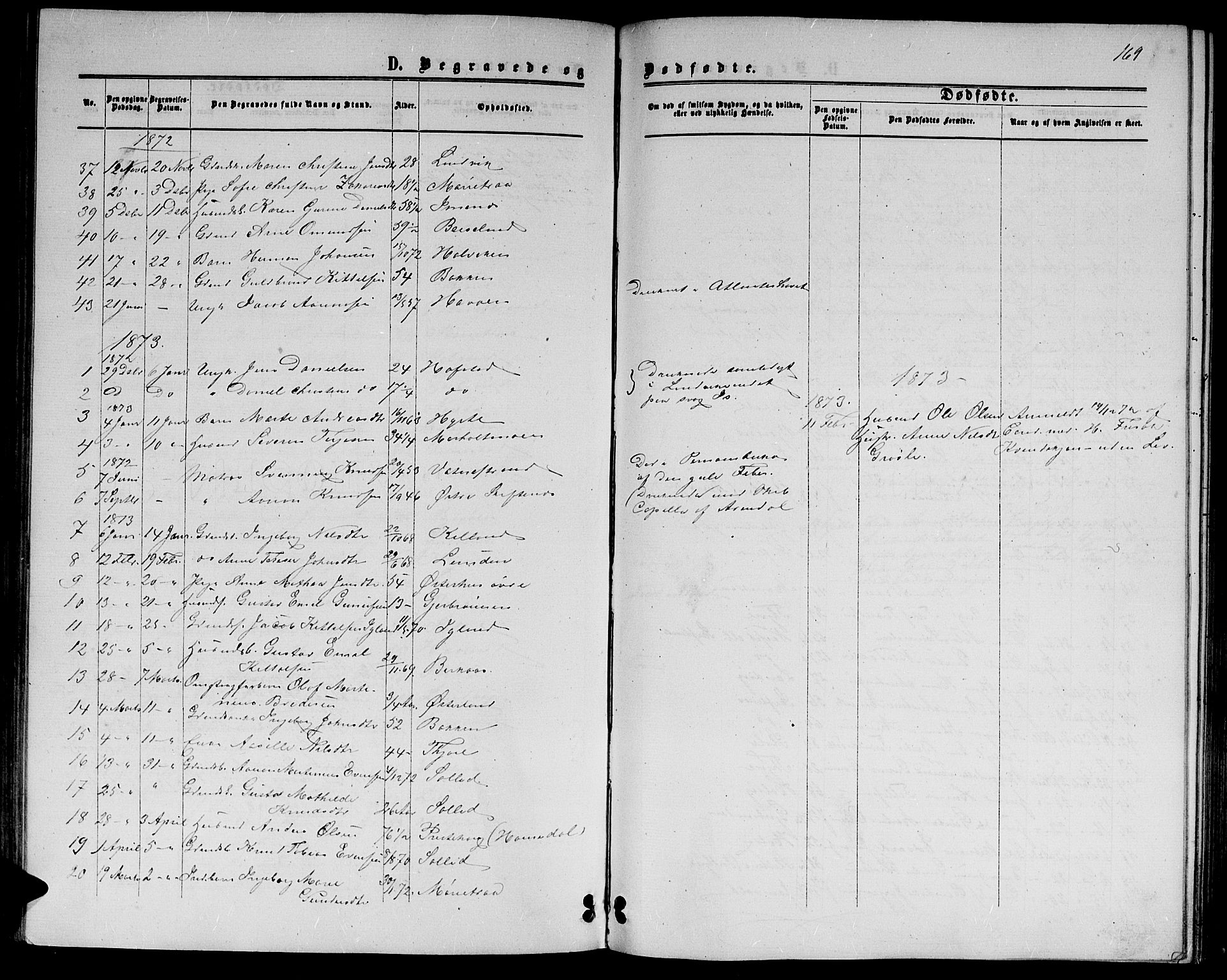 Hommedal sokneprestkontor, SAK/1111-0023/F/Fb/Fbb/L0006: Parish register (copy) no. B 6, 1869-1884, p. 169