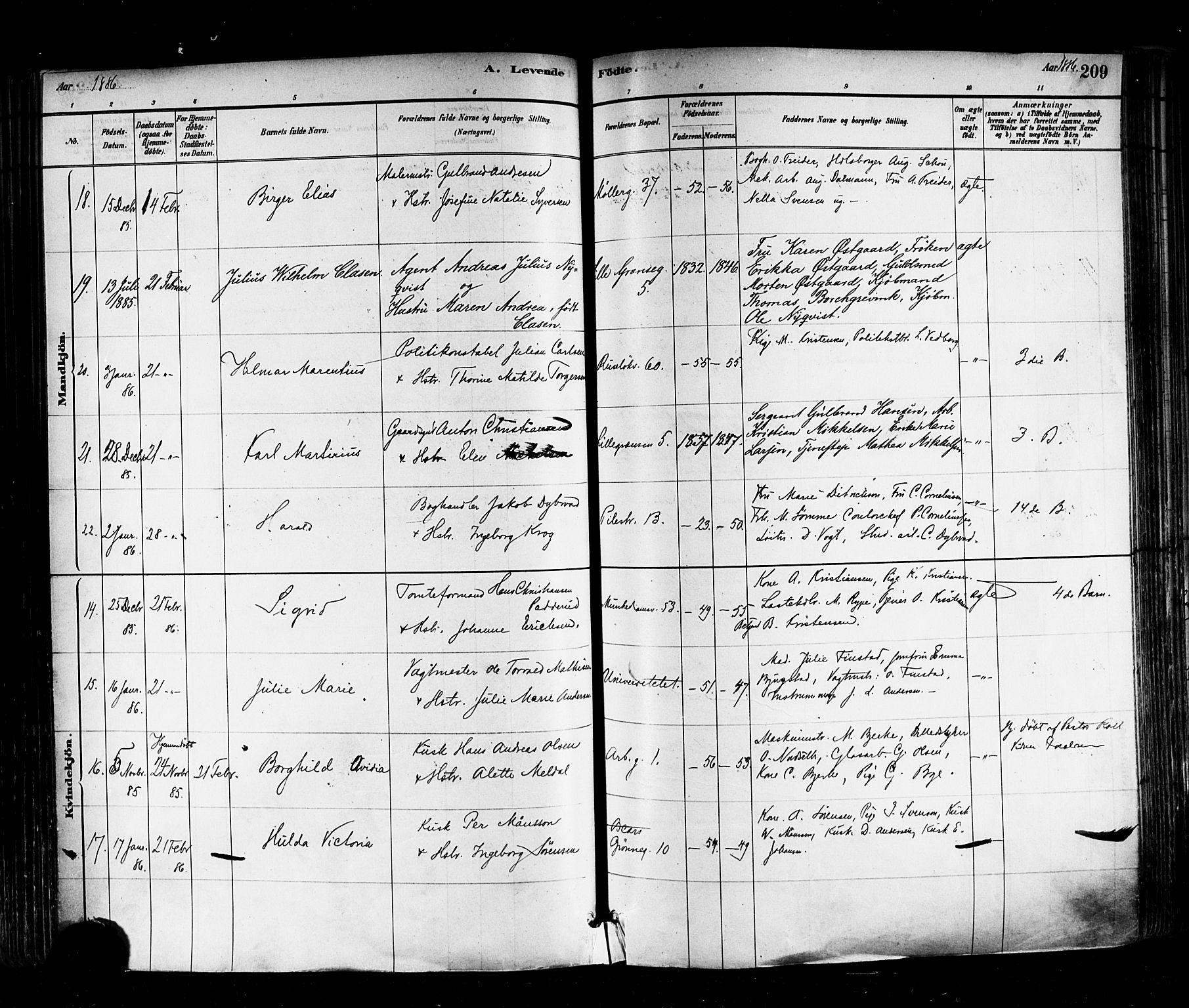 Trefoldighet prestekontor Kirkebøker, AV/SAO-A-10882/F/Fa/L0005: Parish register (official) no. I 5, 1881-1891, p. 209