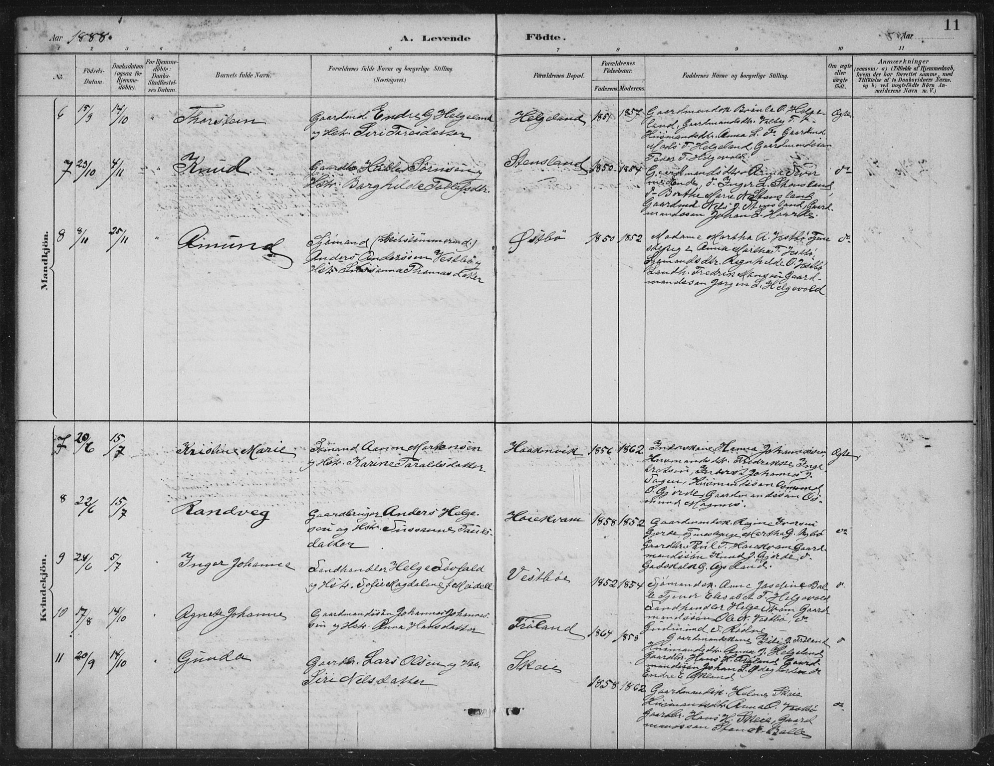 Vikedal sokneprestkontor, AV/SAST-A-101840/01/IV: Parish register (official) no. A 11, 1884-1933, p. 11