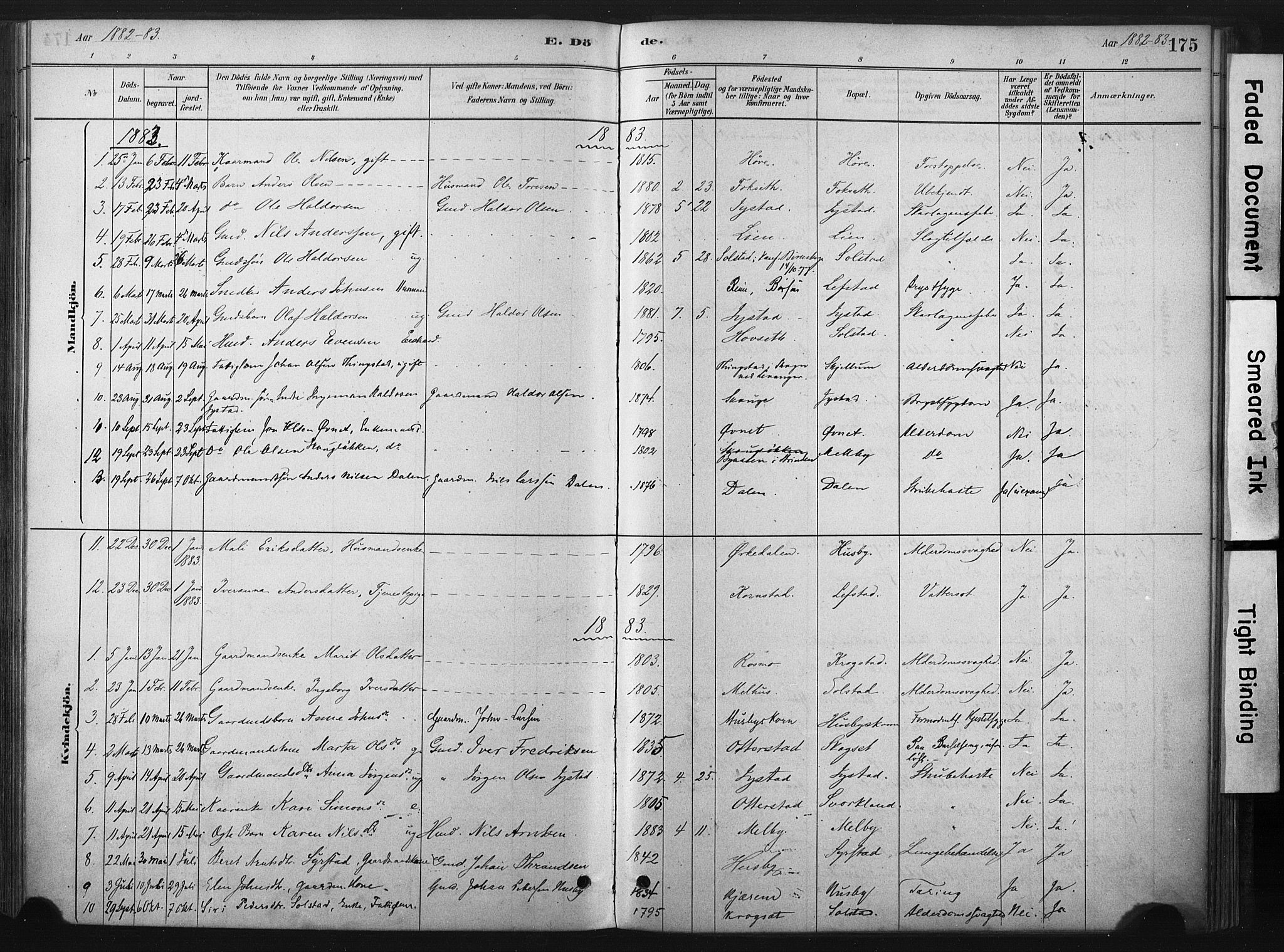 Ministerialprotokoller, klokkerbøker og fødselsregistre - Sør-Trøndelag, SAT/A-1456/667/L0795: Parish register (official) no. 667A03, 1879-1907, p. 175