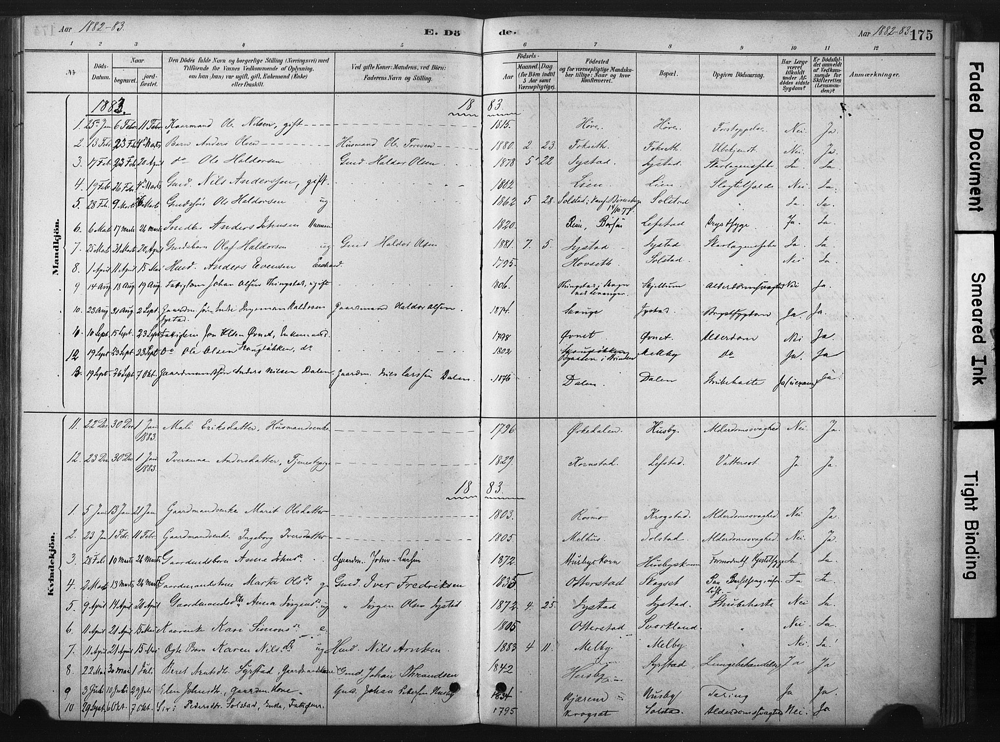 Ministerialprotokoller, klokkerbøker og fødselsregistre - Sør-Trøndelag, AV/SAT-A-1456/667/L0795: Parish register (official) no. 667A03, 1879-1907, p. 175