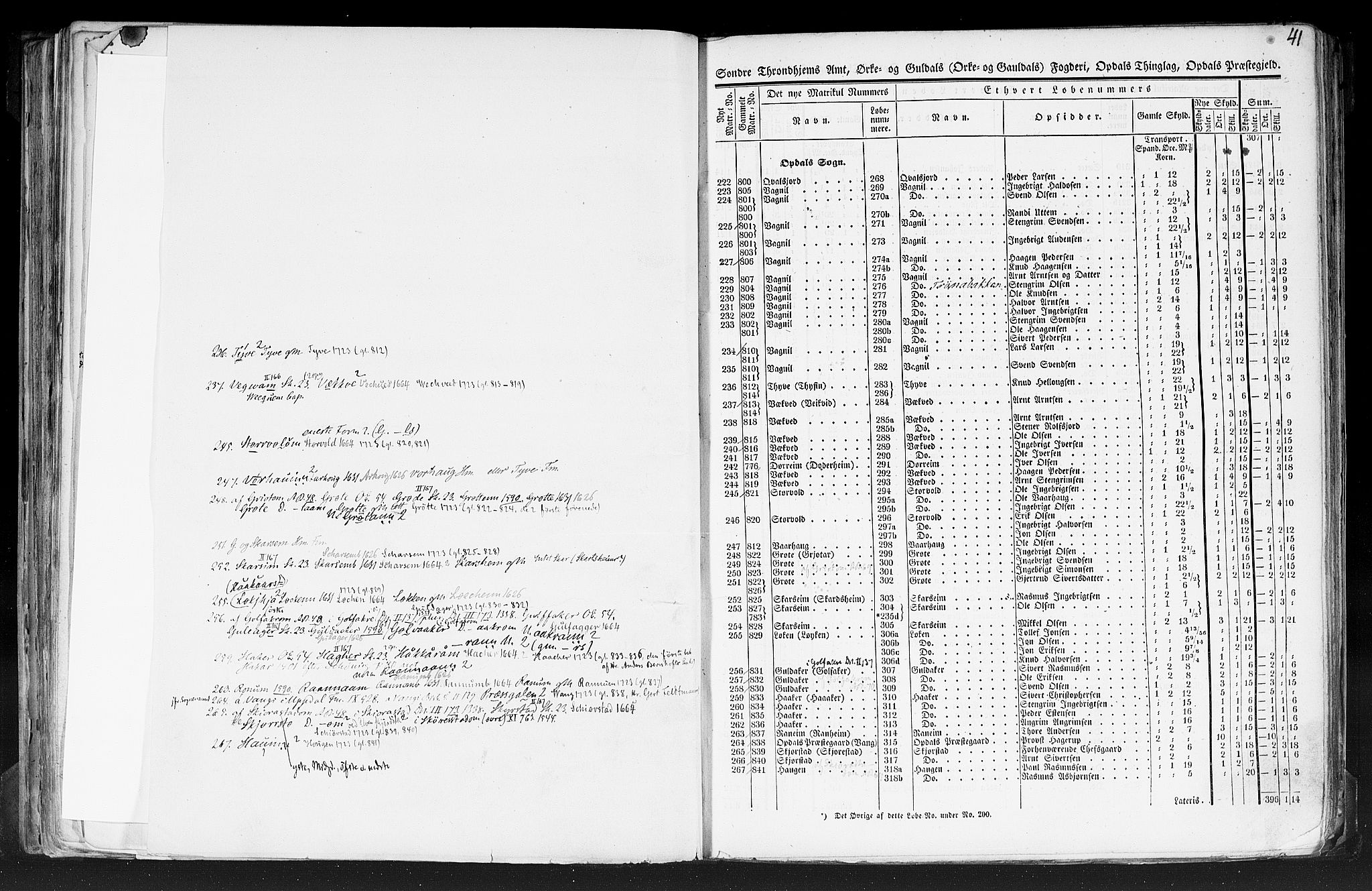 Rygh, AV/RA-PA-0034/F/Fb/L0014: Matrikkelen for 1838 - Søndre Trondhjems amt (Sør-Trøndelag fylke), 1838, p. 41a