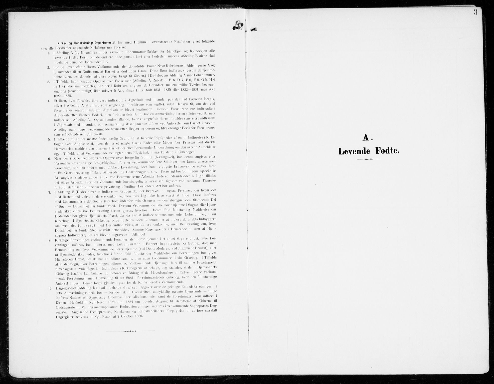 Tjølling kirkebøker, SAKO/A-60/F/Fa/L0010: Parish register (official) no. 10, 1906-1923, p. 3