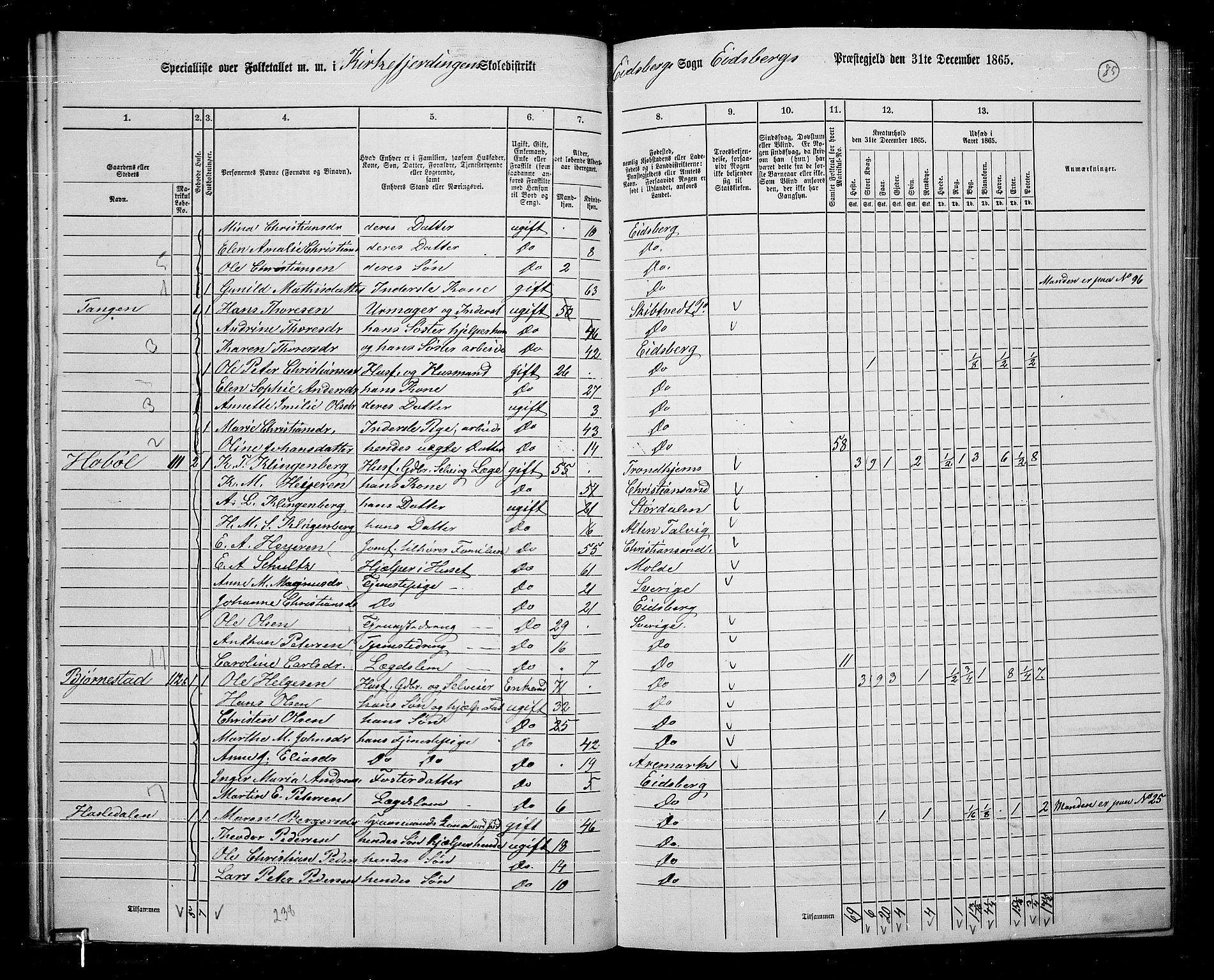 RA, 1865 census for Eidsberg, 1865, p. 74