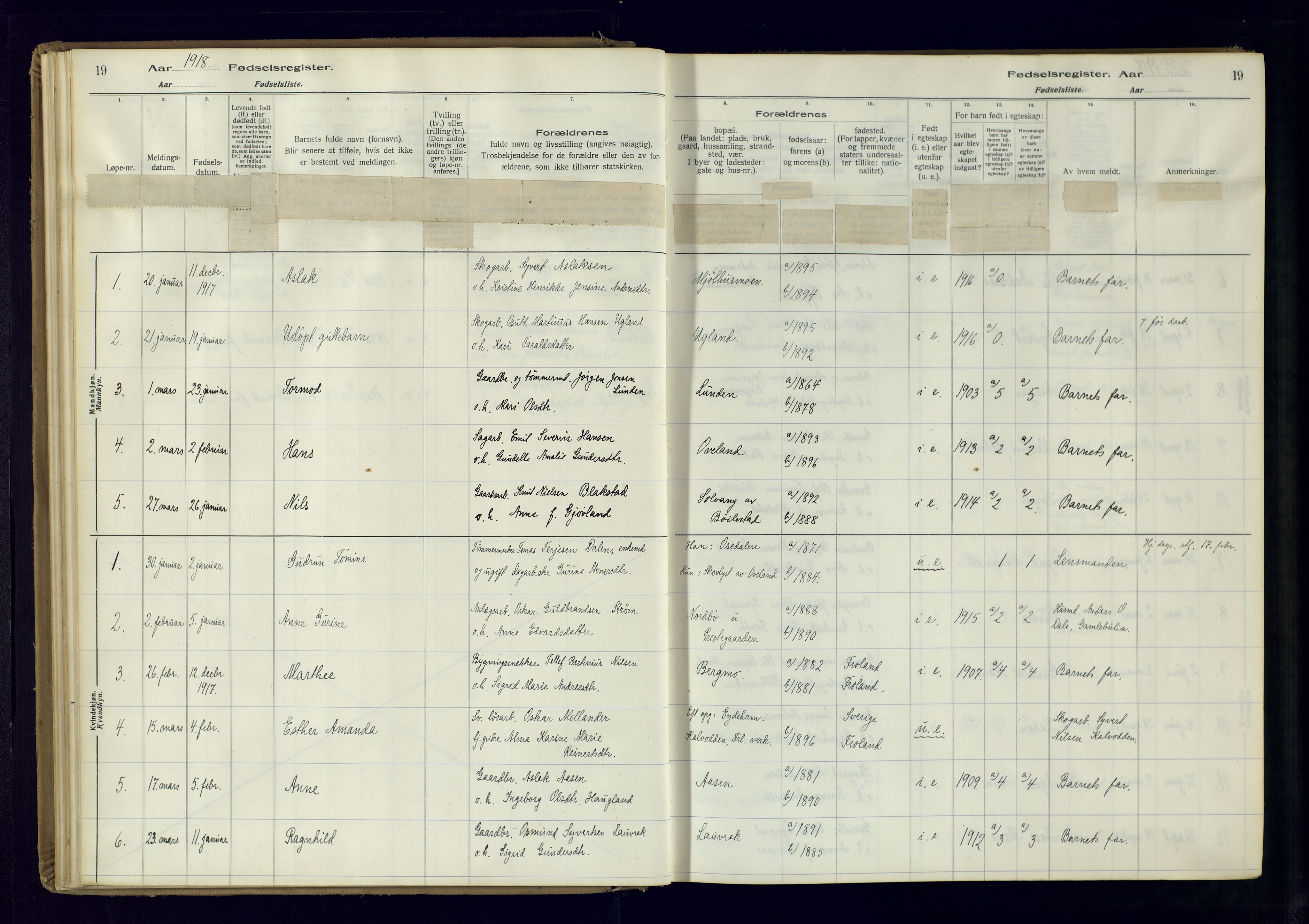 Froland sokneprestkontor, SAK/1111-0013/J/Ja/L0001: Birth register no. 1, 1916-1950, p. 19