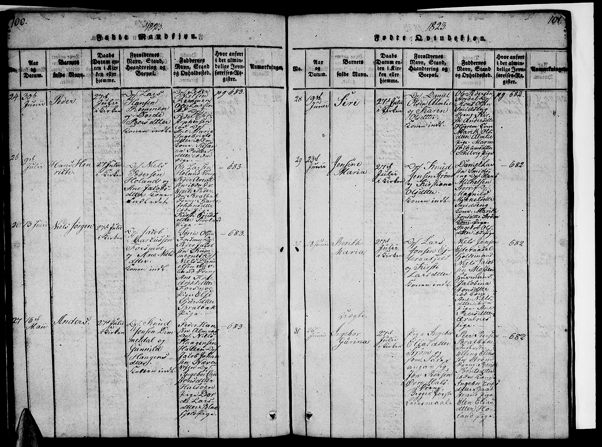 Ministerialprotokoller, klokkerbøker og fødselsregistre - Nordland, AV/SAT-A-1459/820/L0299: Parish register (copy) no. 820C01, 1820-1825, p. 100-101