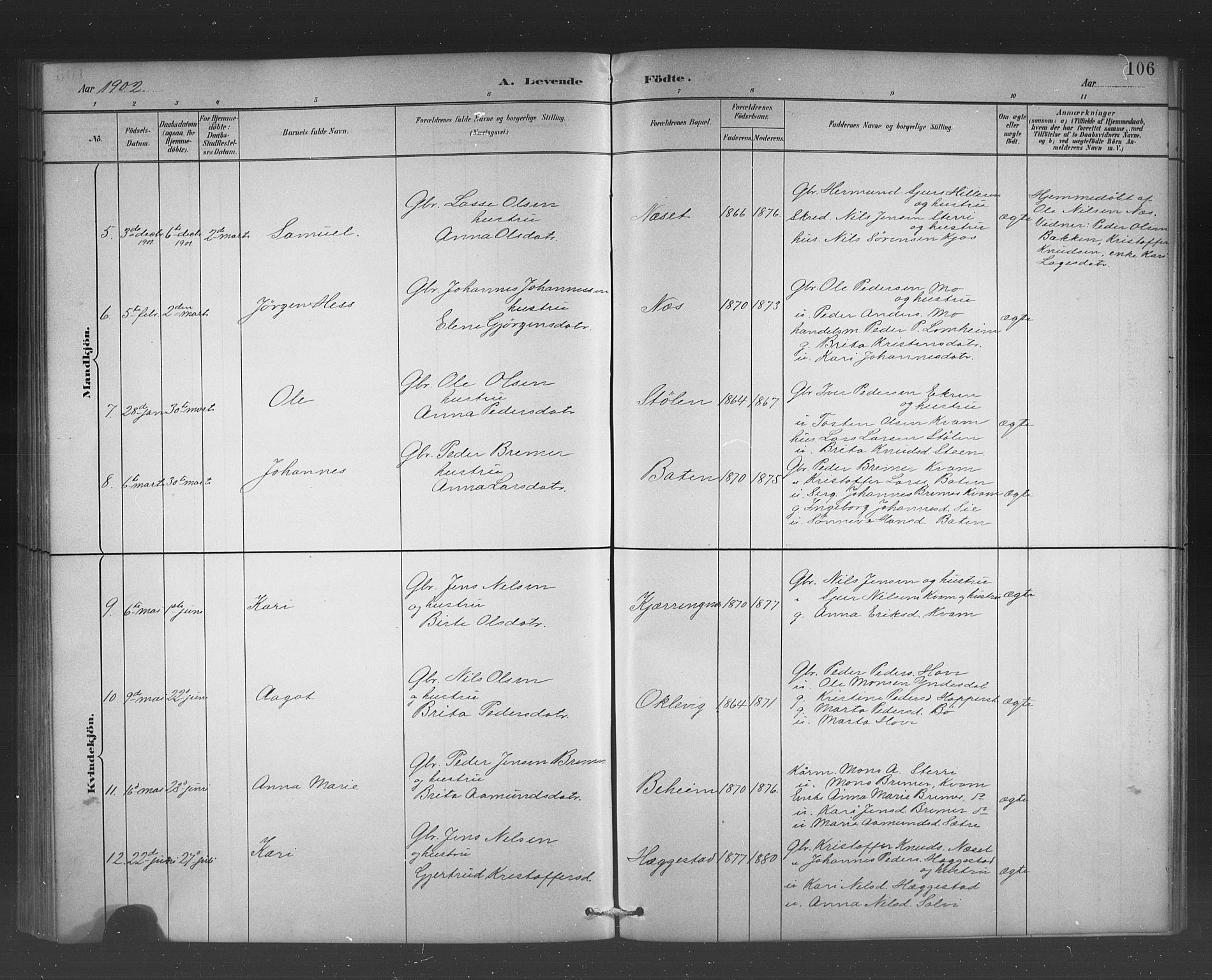 Hafslo sokneprestembete, AV/SAB-A-80301/H/Hab/Habb/L0001: Parish register (copy) no. B 1, 1882-1908, p. 106