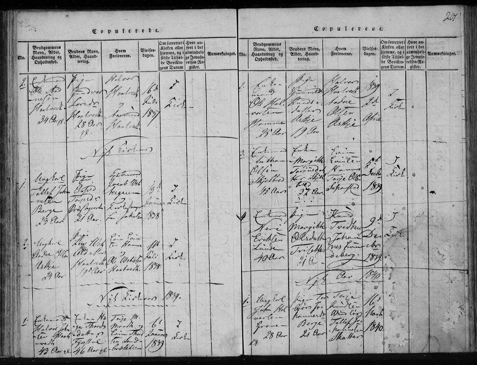Lårdal kirkebøker, SAKO/A-284/F/Fa/L0005: Parish register (official) no. I 5, 1815-1860, p. 201