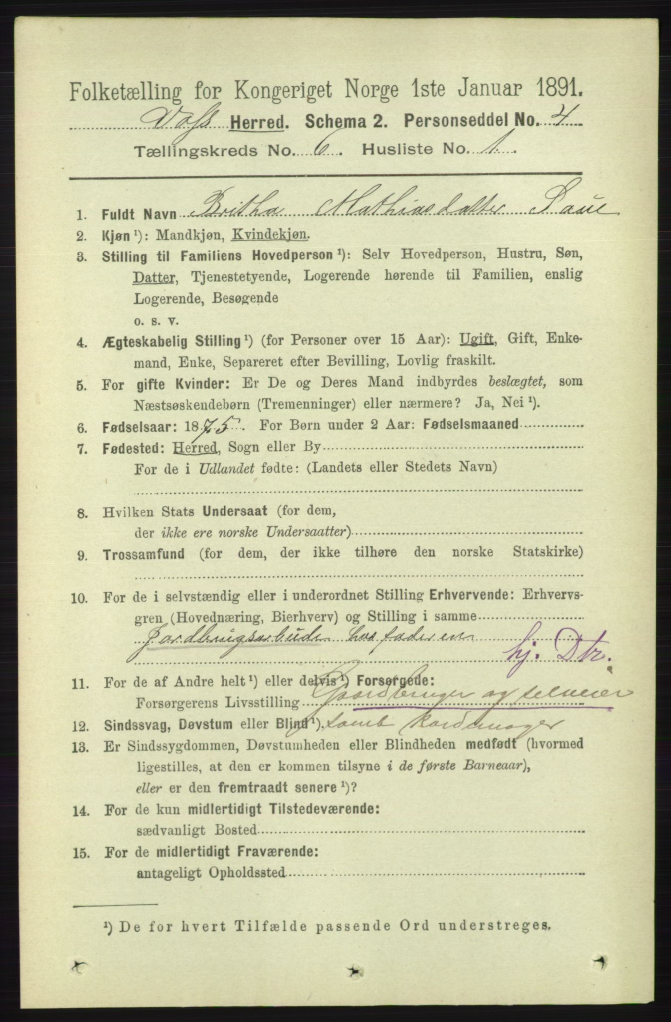 RA, 1891 census for 1235 Voss, 1891, p. 3293