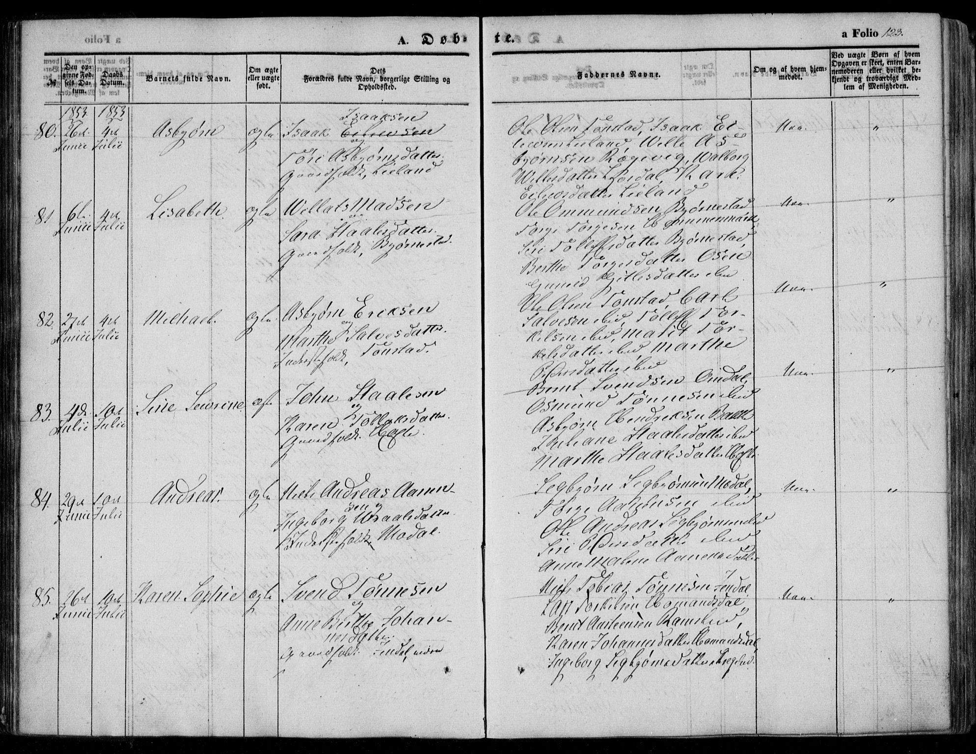 Bakke sokneprestkontor, SAK/1111-0002/F/Fa/Faa/L0005: Parish register (official) no. A 5, 1847-1855, p. 123