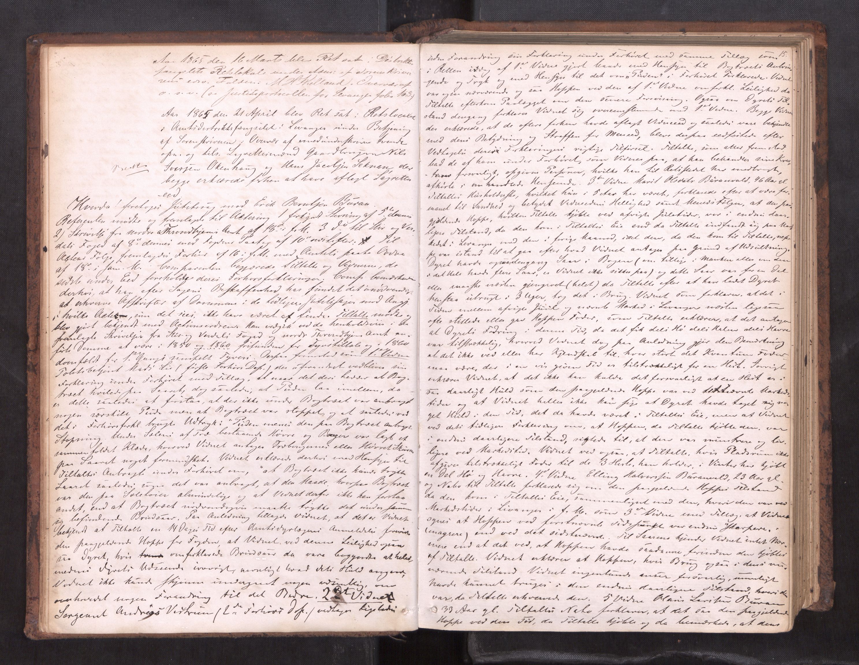 Stjør- og Verdal sorenskriveri, AV/SAT-A-4167/1/1/1B/L0019: Ekstrarettsprotokoll, 1864-1877, p. 14b-15a