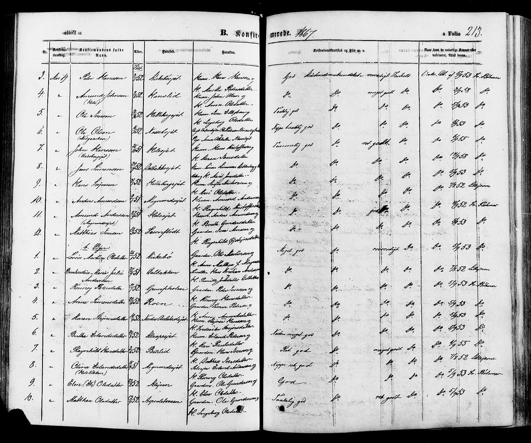 Gausdal prestekontor, SAH/PREST-090/H/Ha/Haa/L0010: Parish register (official) no. 10, 1867-1886, p. 213