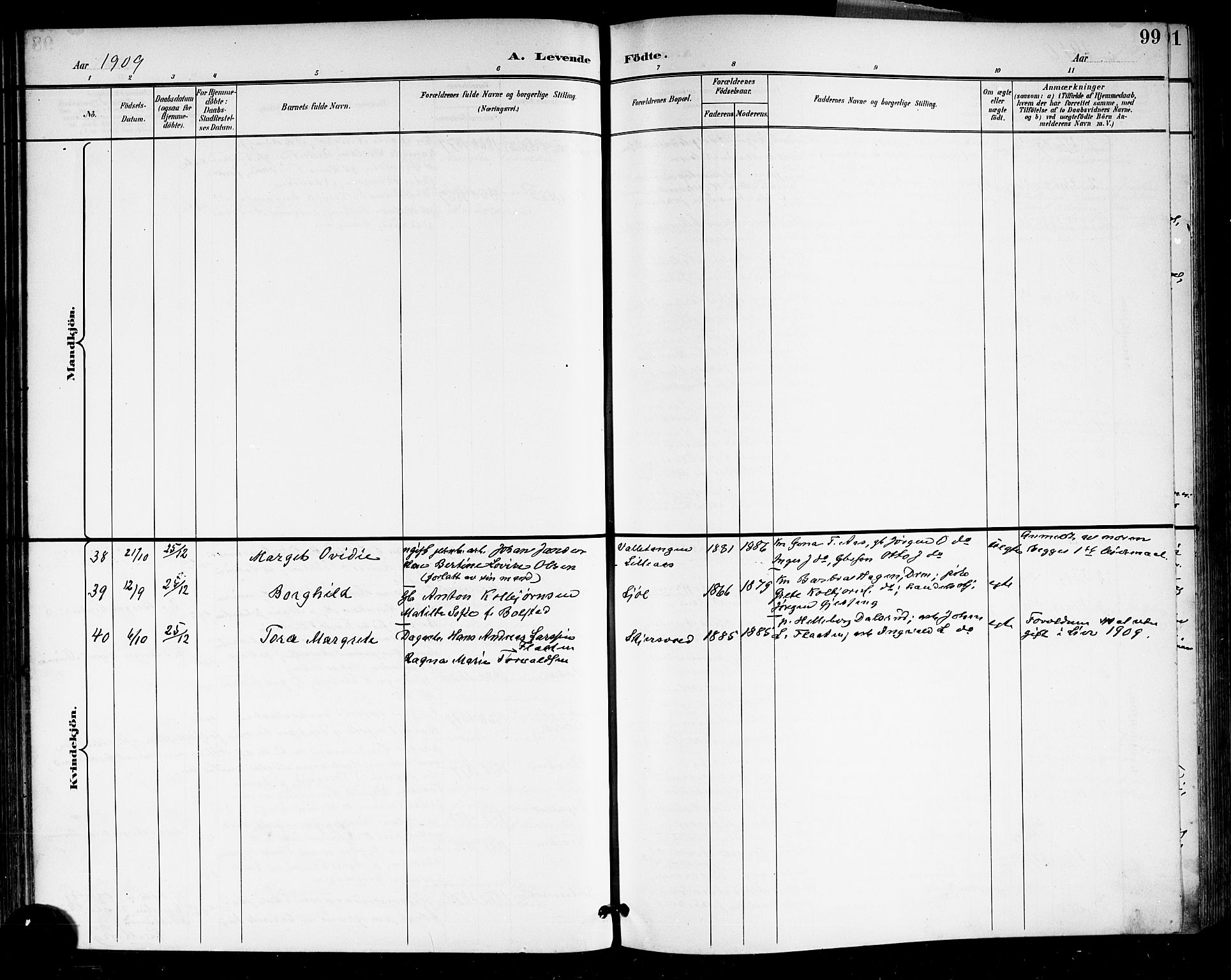 Sande Kirkebøker, AV/SAKO-A-53/G/Ga/L0004: Parish register (copy) no. 4, 1895-1918, p. 99