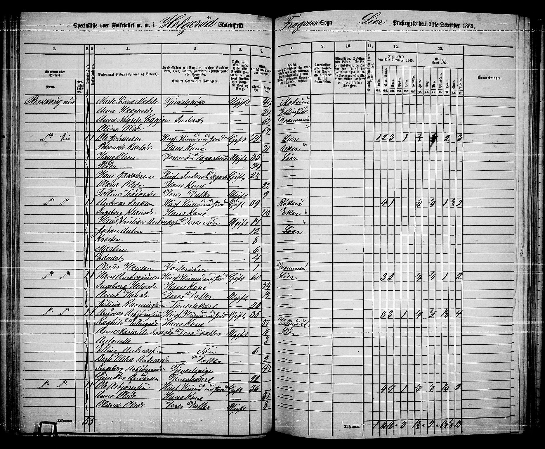 RA, 1865 census for Lier, 1865, p. 79