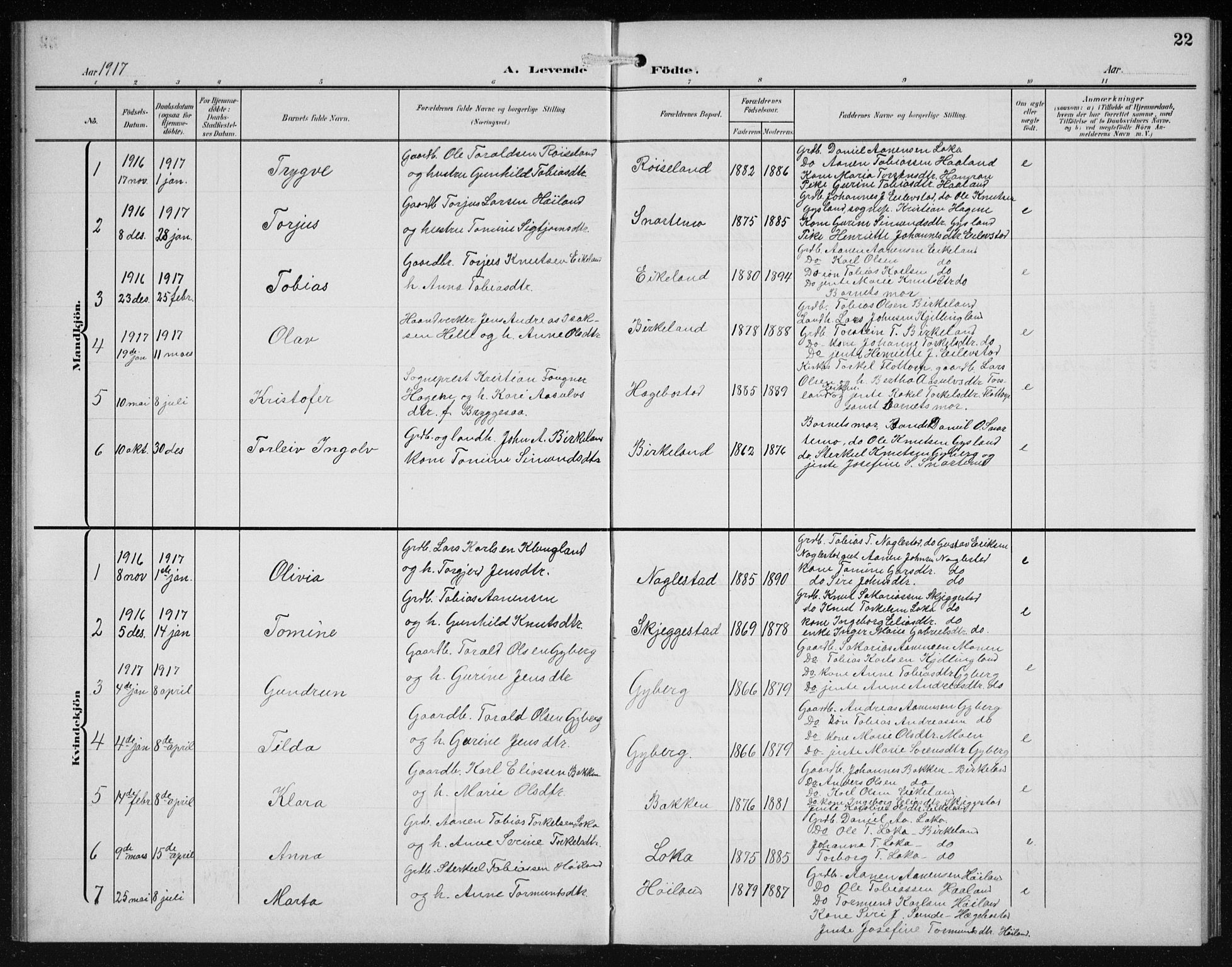 Hægebostad sokneprestkontor, SAK/1111-0024/F/Fb/Fba/L0005: Parish register (copy) no. B 5, 1907-1931, p. 22