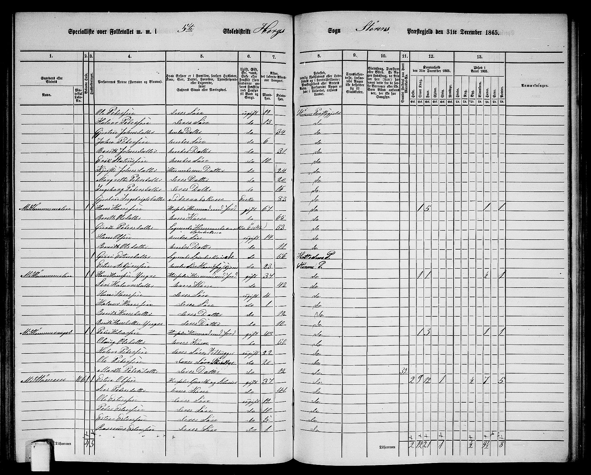 RA, 1865 census for Støren, 1865, p. 189