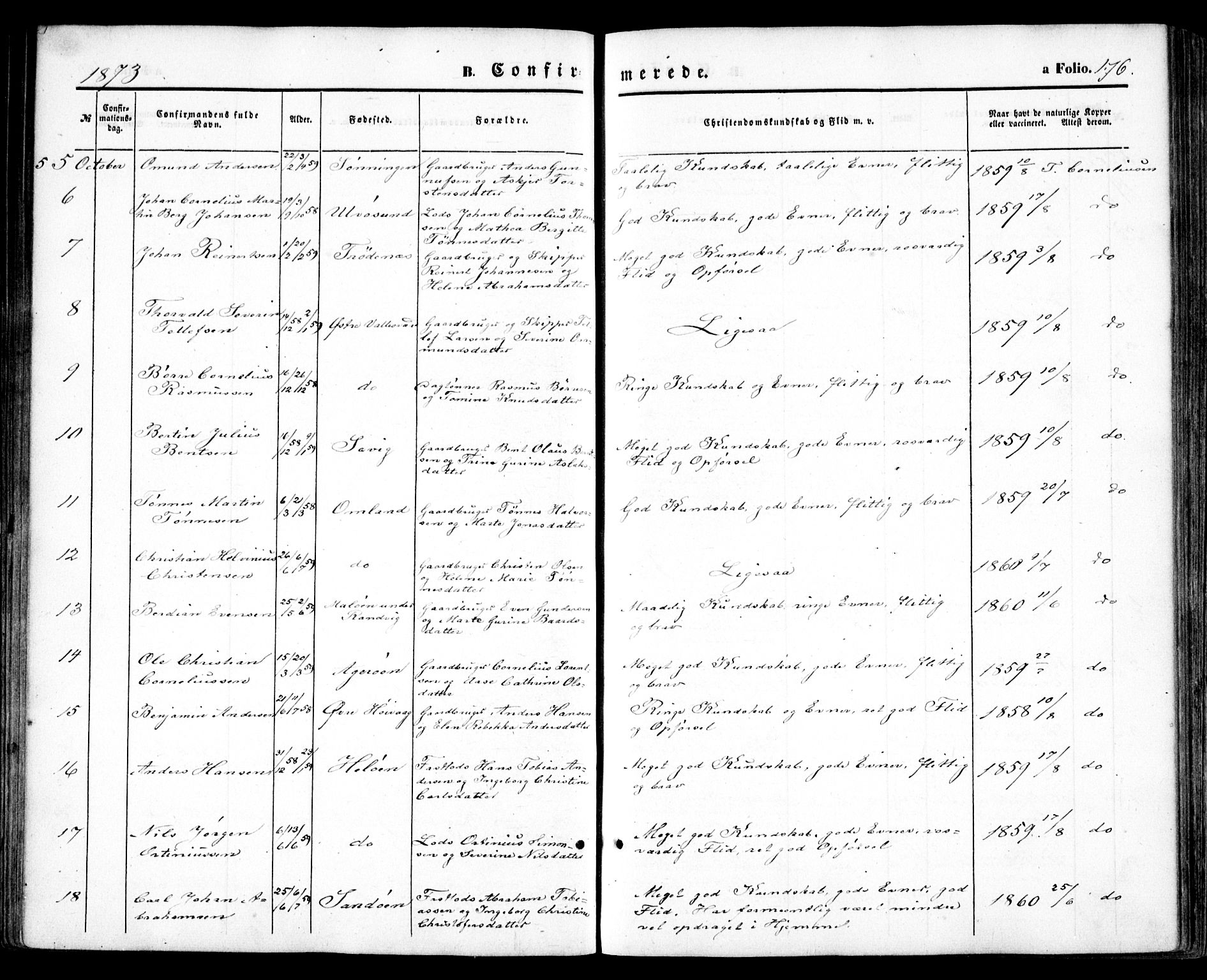 Høvåg sokneprestkontor, SAK/1111-0025/F/Fa/L0004: Parish register (official) no. A 4, 1859-1877, p. 176